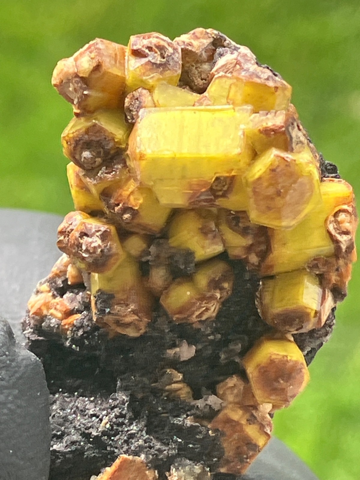 Rare Ettringite bright lemon yellow crystsls Famous N’Chwaning II Mine S. Africa