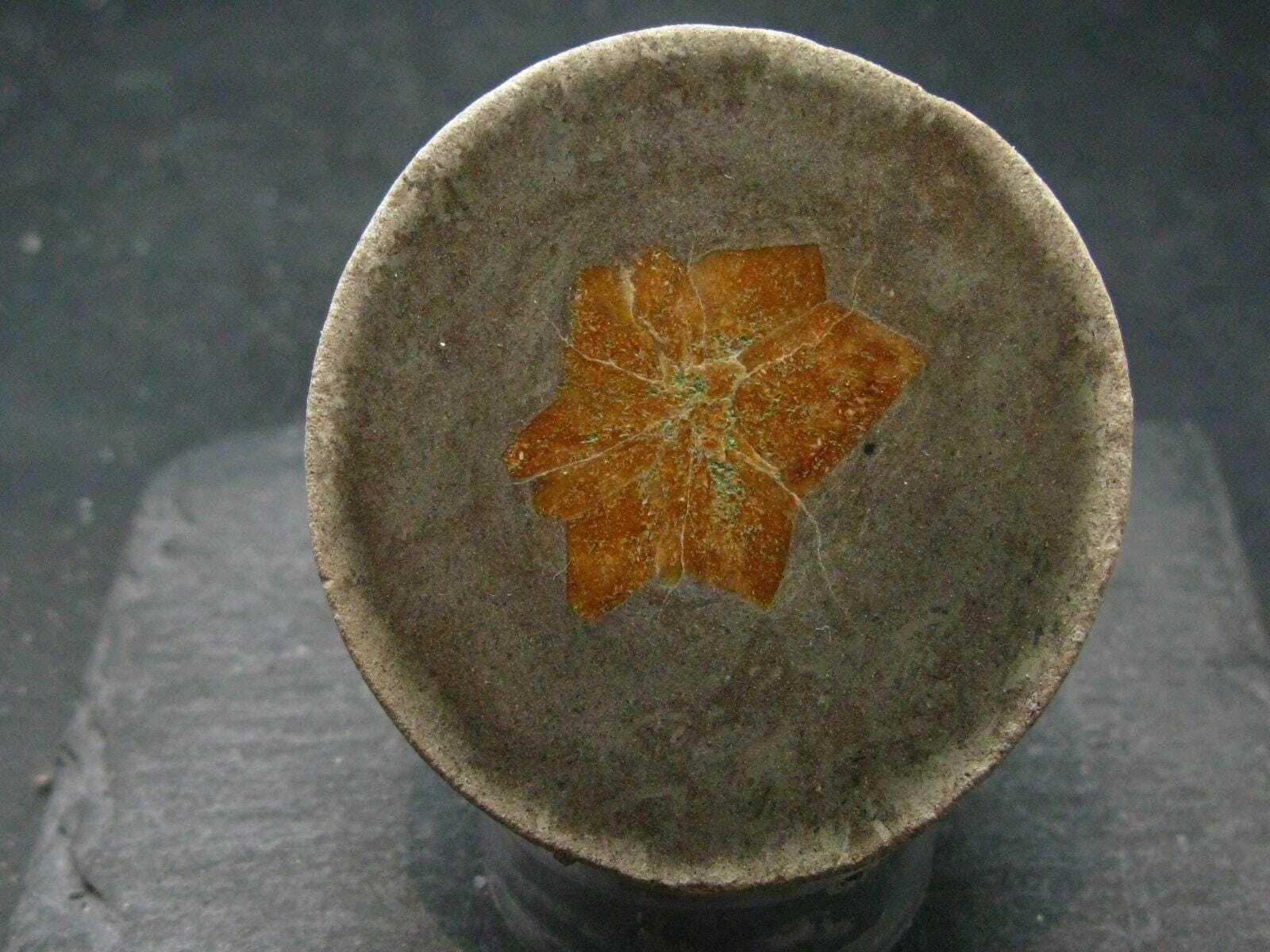 Glendonite (Ikaite after Calcite) Crystal From Russia – 2.0″ – 95.33 Grams