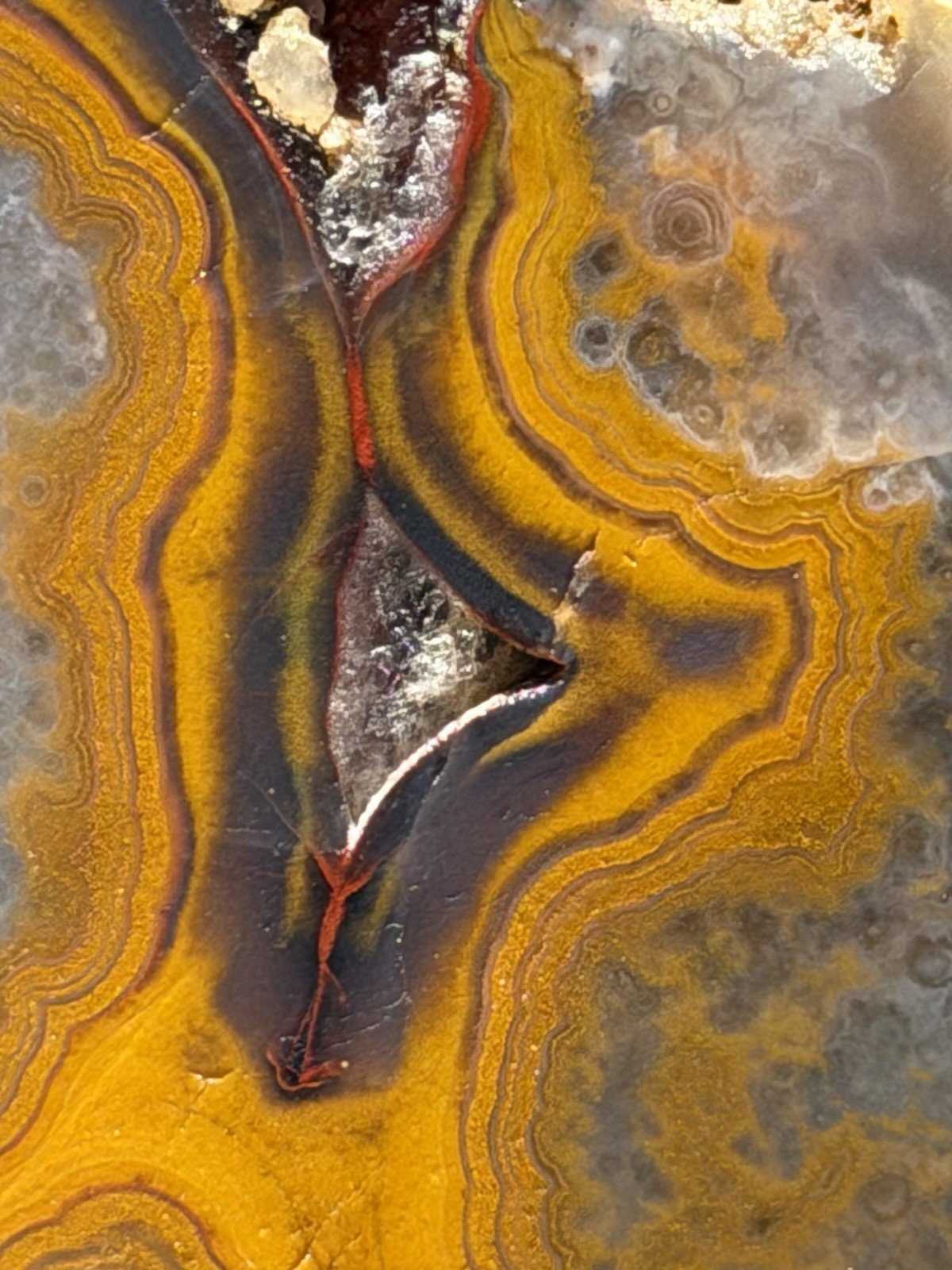 Vibrant Kentucky Agate Specimen – Irvine, KY | Rich Yellow, Red, & Smoky Purple