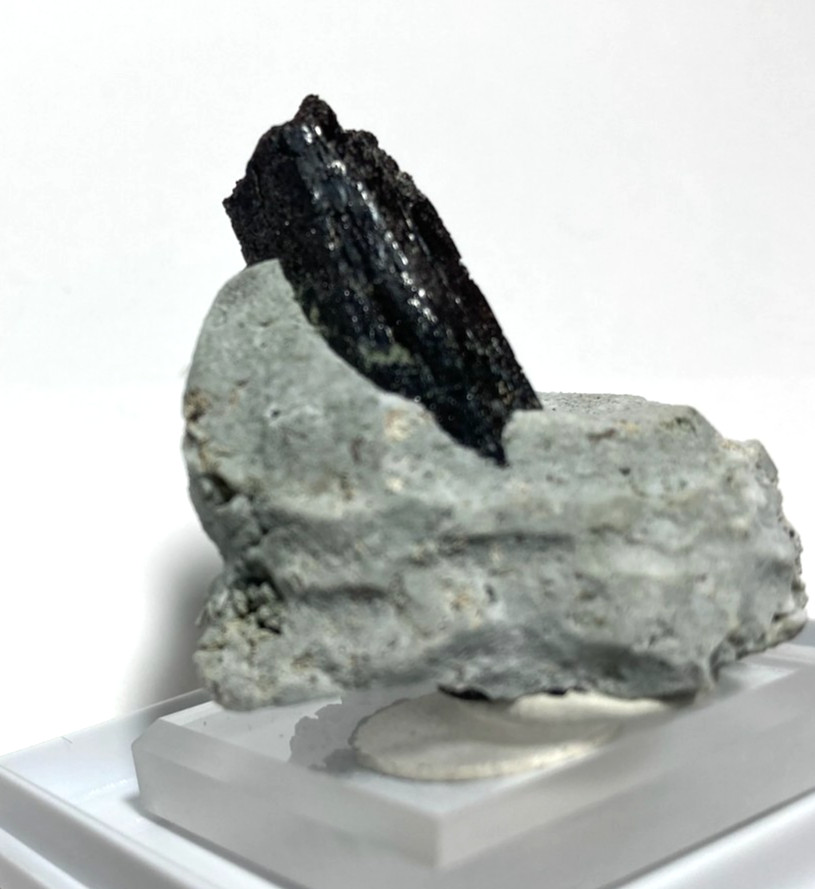 Stunning Neptunite 40mm crystal on Crossite matrix. San Benito California
