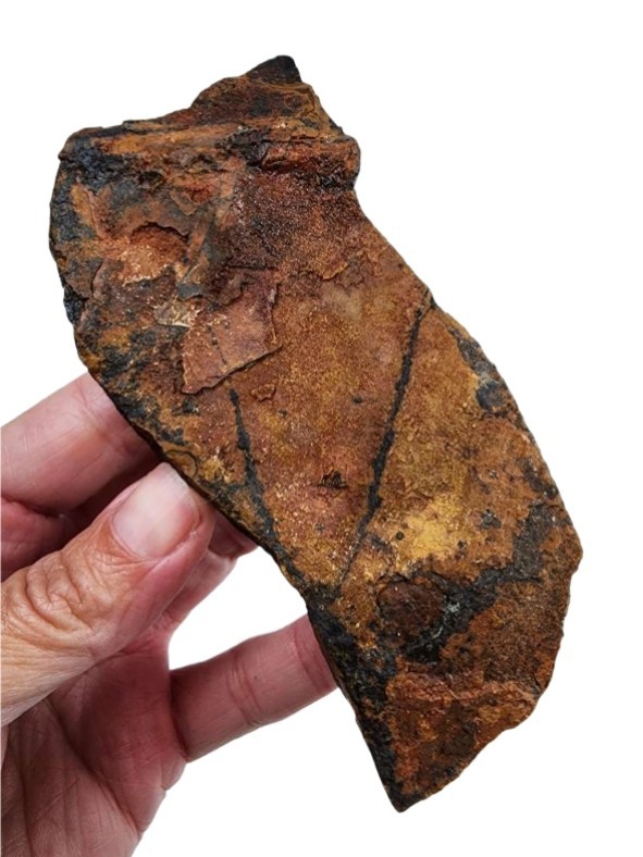 Tiger Eye Gold Rough Specimen Africa 179.3 grams. Lapidary Rough