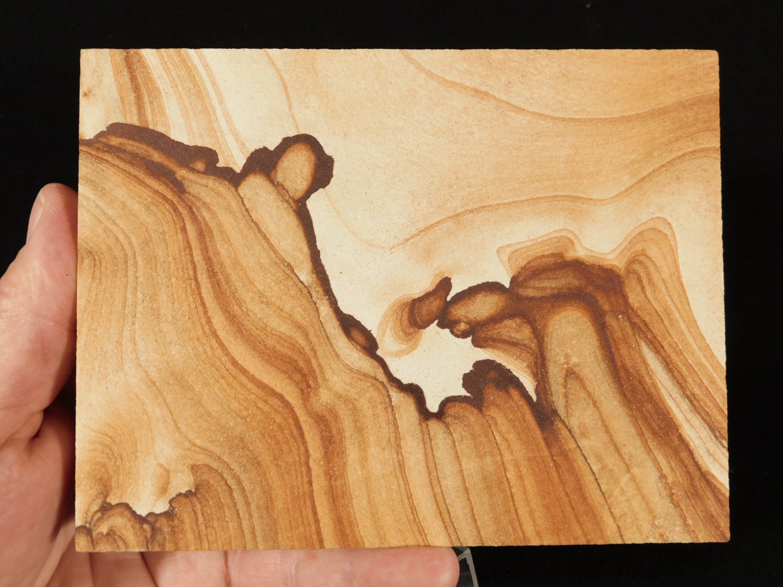 LARGER! PICTURE Stone or SANDSTONE Slice/Slab with Display Stand Utah 447gr