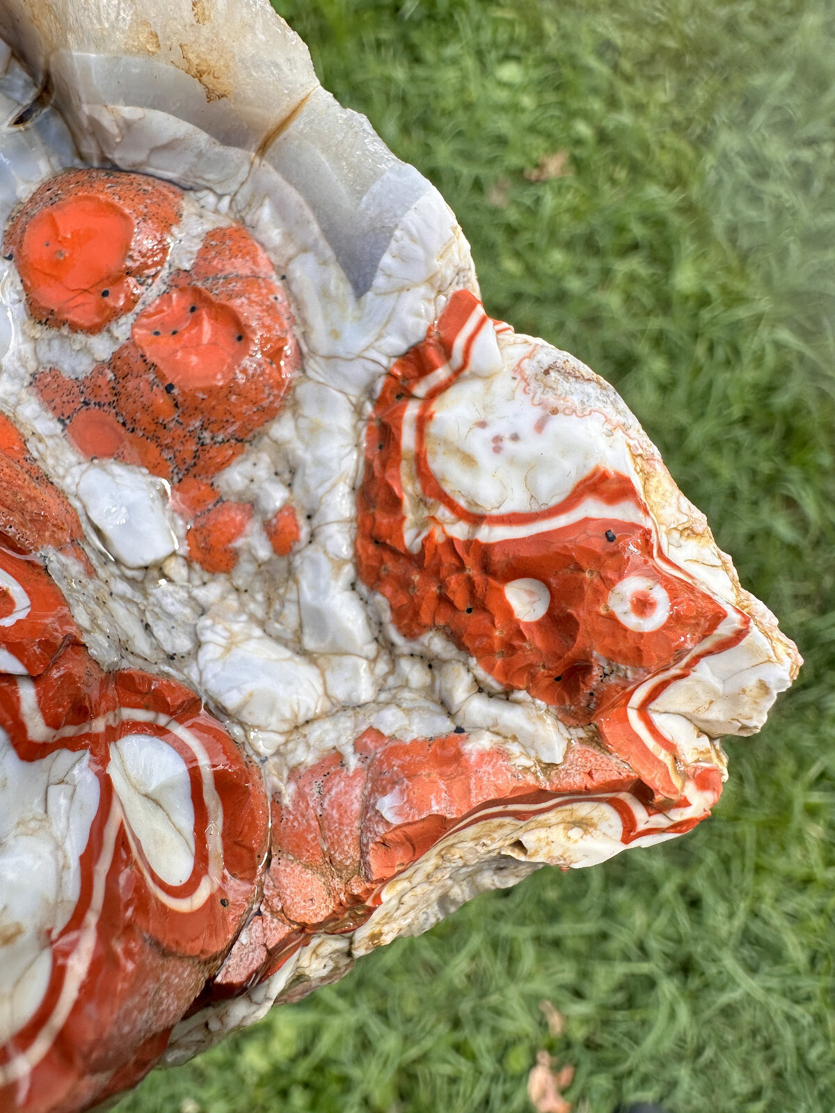 Large Natural Rare Kentucky Agate Rough from Estill County