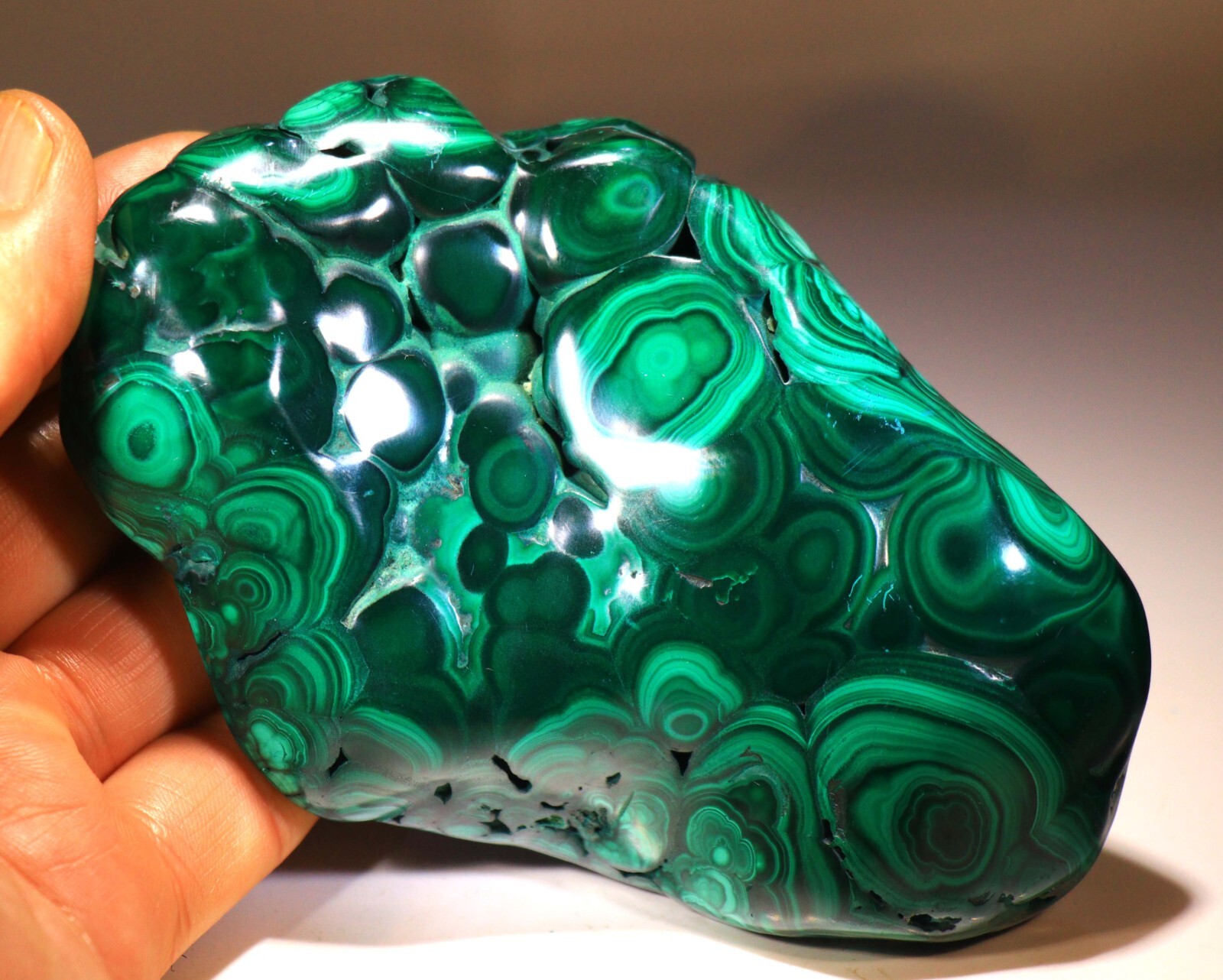 5.25 inch Top Quality Polished Bull’s Eye Malachite, Congo! M427