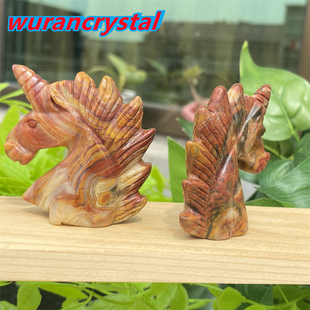 1pc Natural crazy agate unicorn skull quartz crystal carved reiki healing 2”