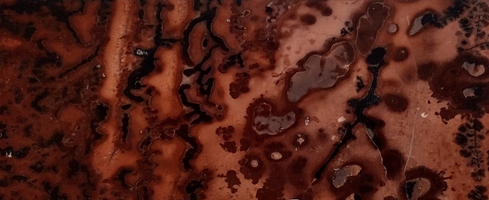 Large Picture Jasper Slab w/ Stand Red Orbicular Scenic Polished Stone Display