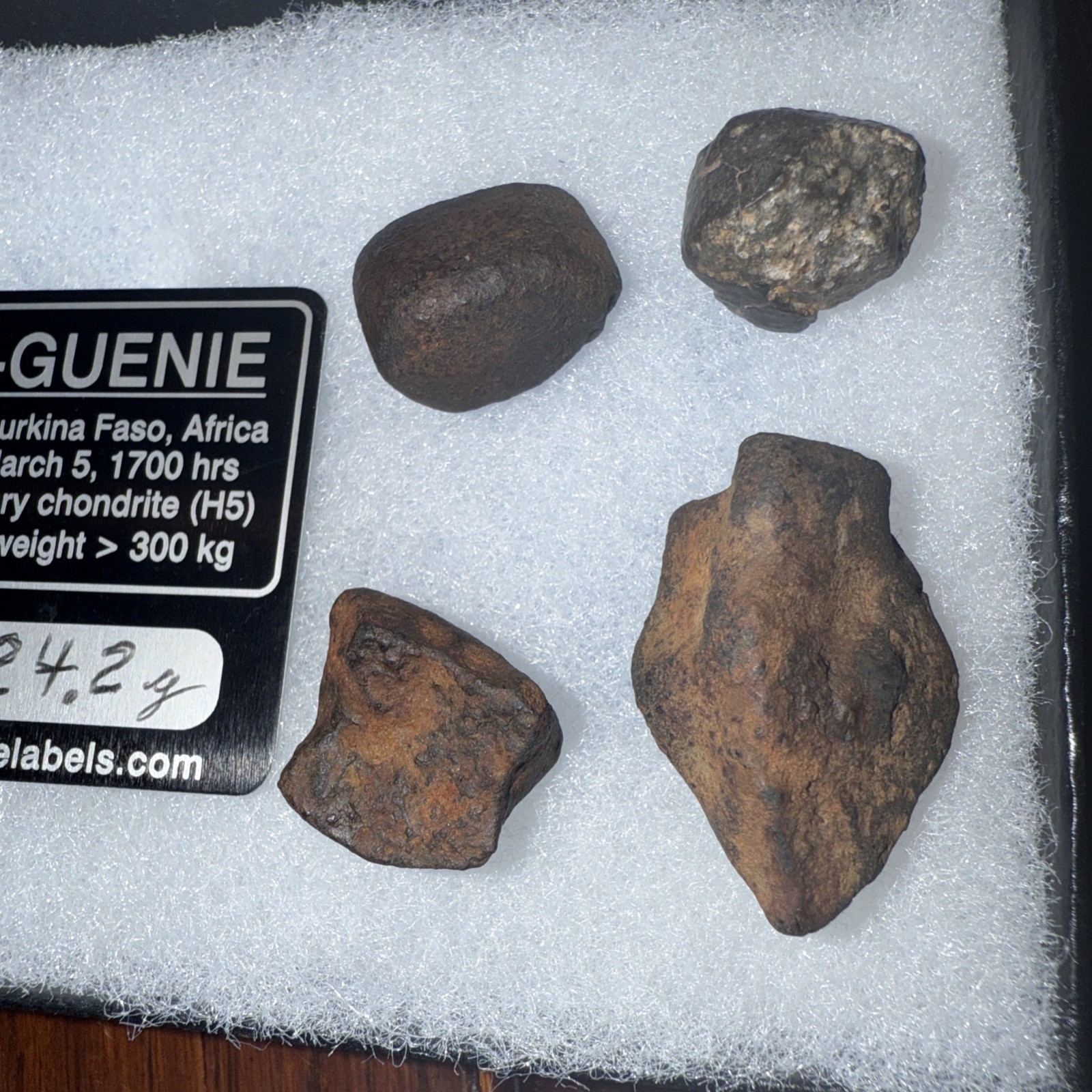 Four Uniques Meteorites Africa / Great for resale or gifts