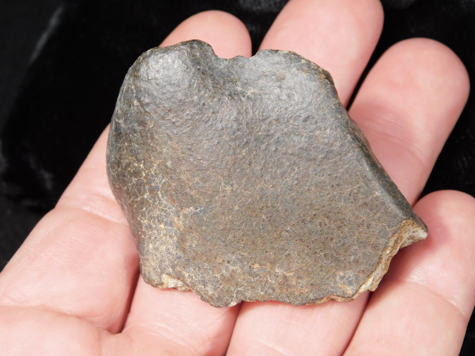 Stony METEORITE with DARK Fusion Crust and Contraction CRACKS 70.2gr