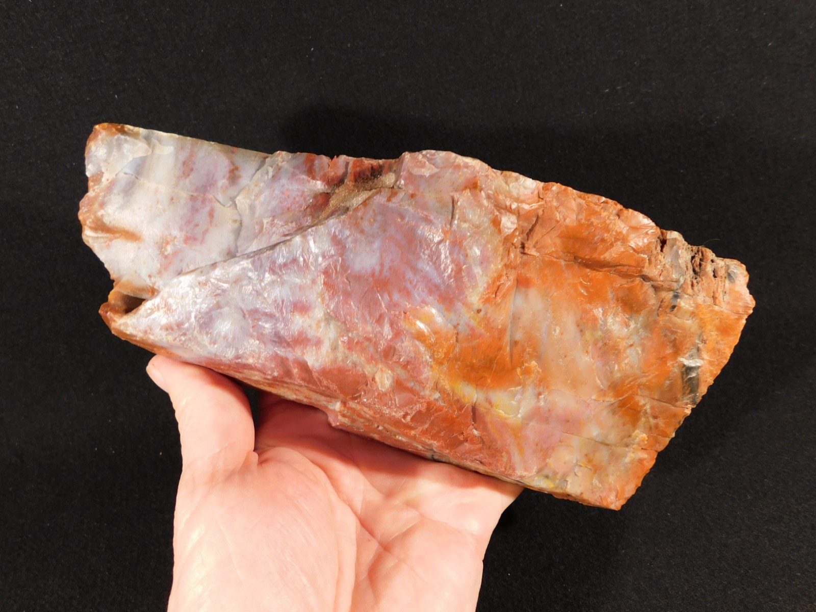 Big Free Standing Polished Deep RED Petrified RAINBOW WOOD Fossil Arizona 1791gr