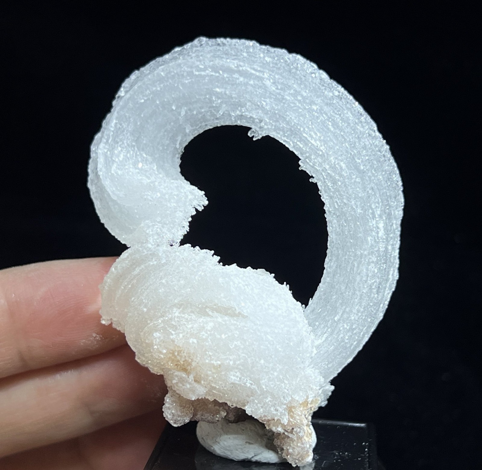 61mm 32g ‘Ram’s Horn’ shape Selenite (Gypsum), Natural Mineral Specimen