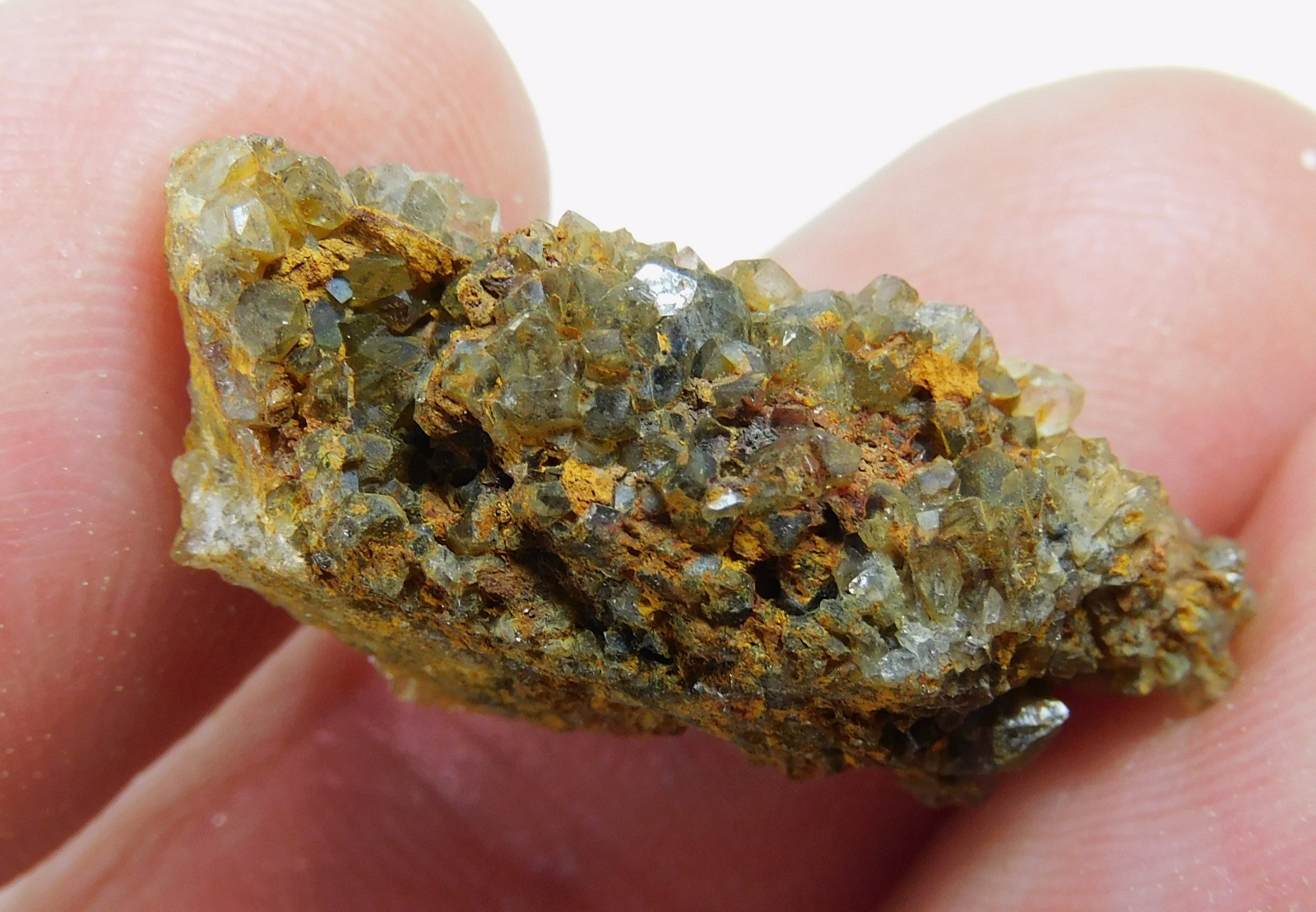 Petrified Wood specimen with brown Crystals From Brilliant Alabama