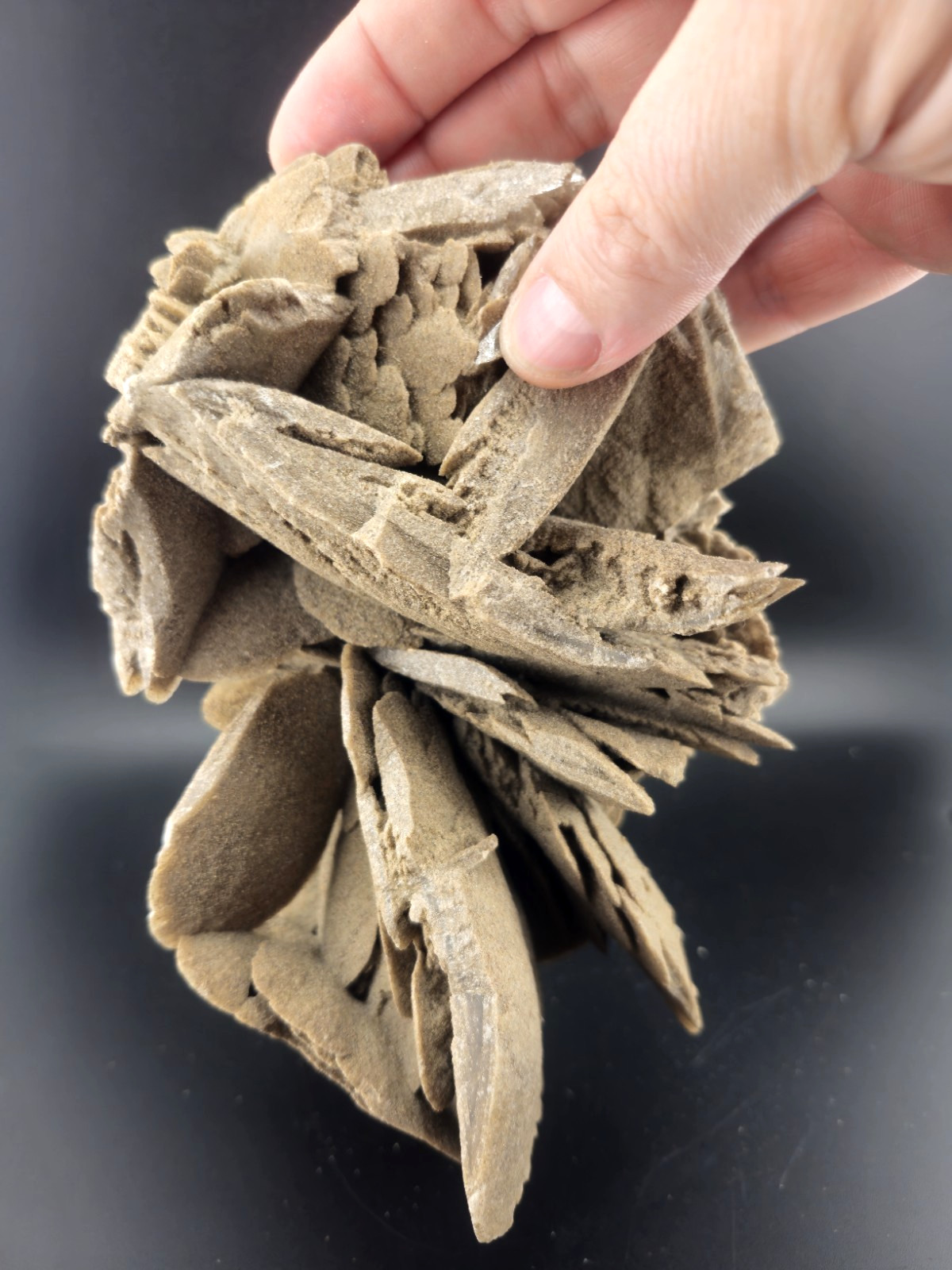 Hourglass Selenite Gypsum Crystal Cluster Oklahoma Old Stock 1286 Grams!