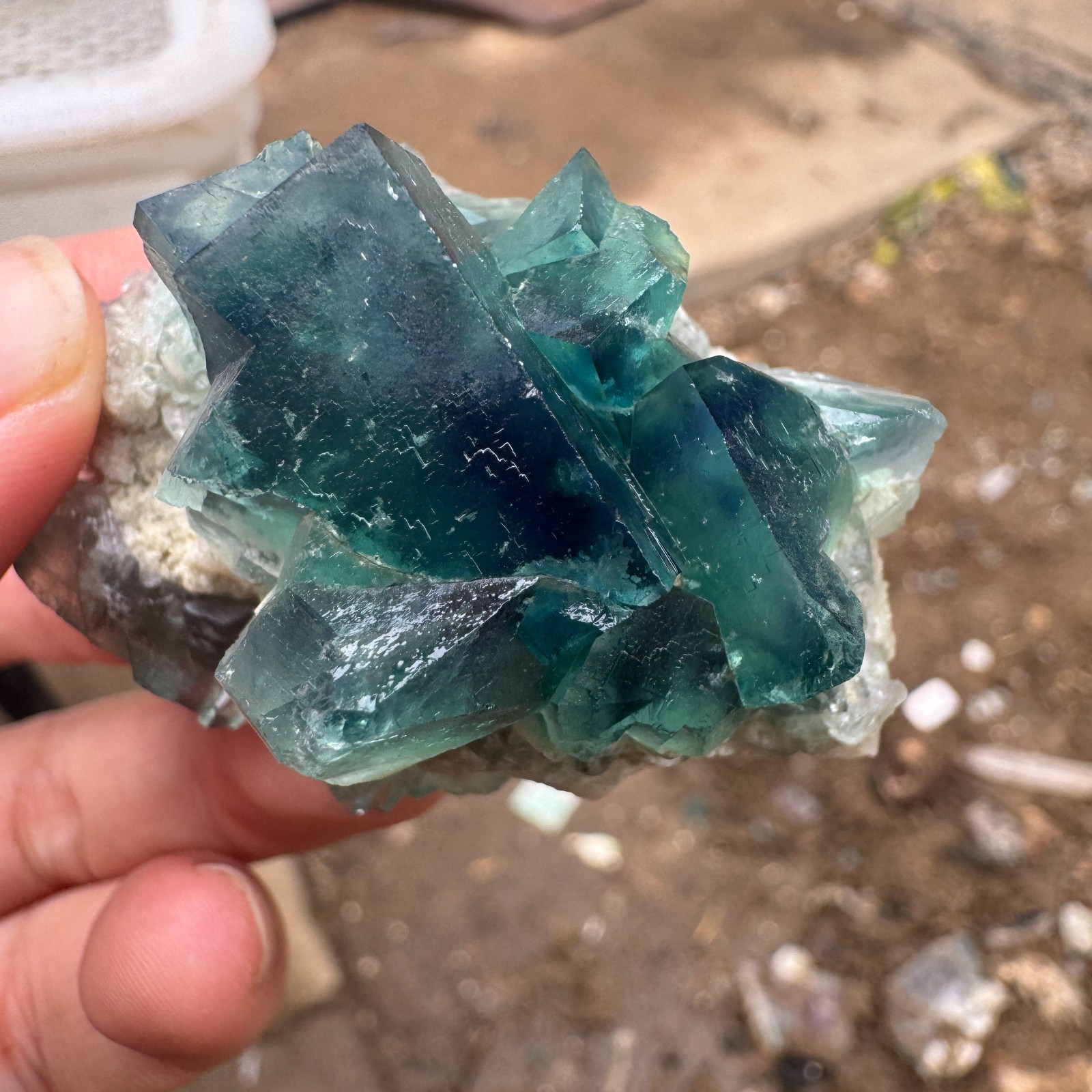 70G Natural cubic green fluorite crystal cluster rough mineral specimen Healing