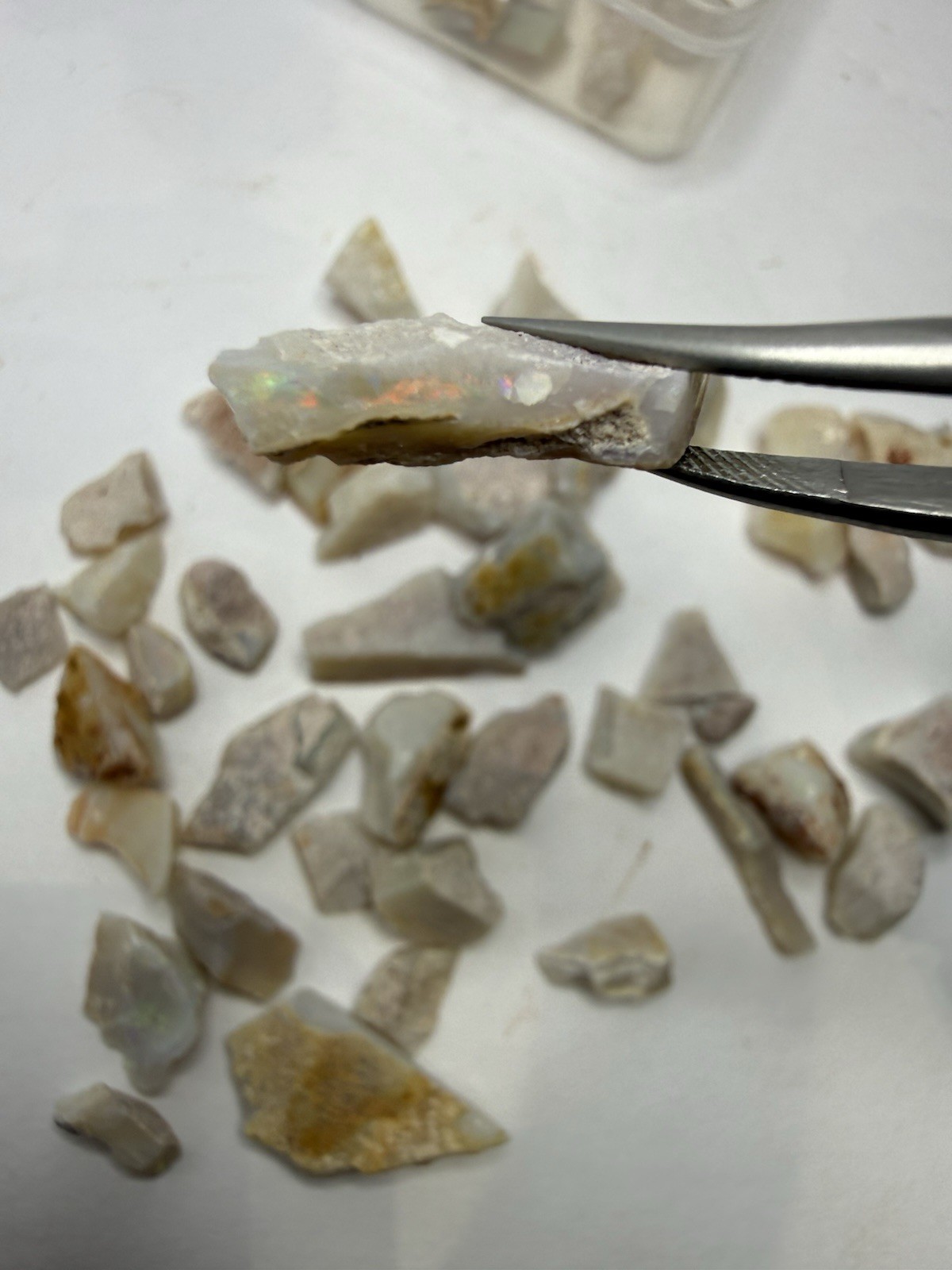 Lot Of Natural Australian Opals Multicolor Flash 26g Total With Plastic Case