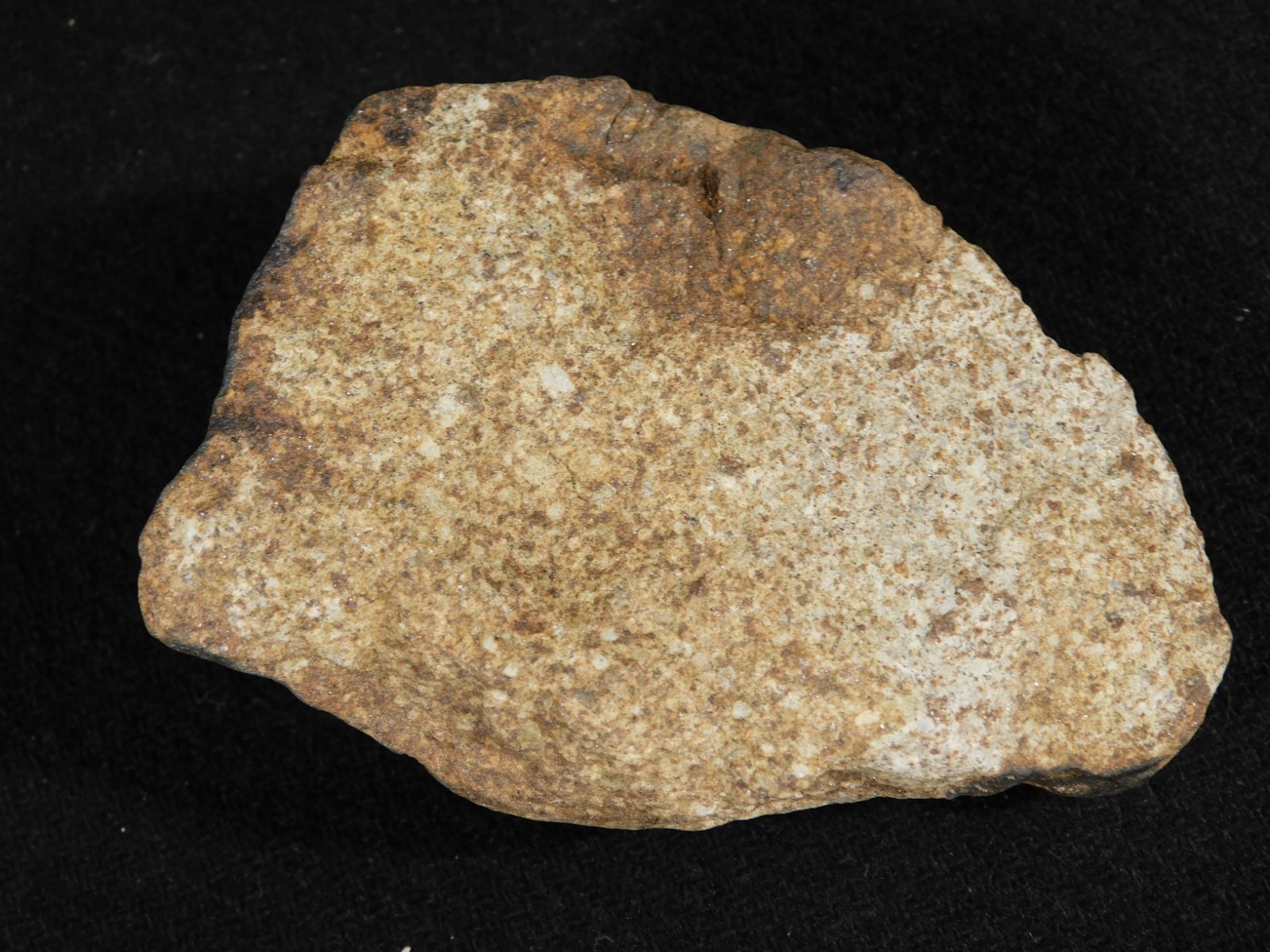 Larger Classified NWA 8245 METEORITE 100% Natural! Erfoud, Morocco 207gr