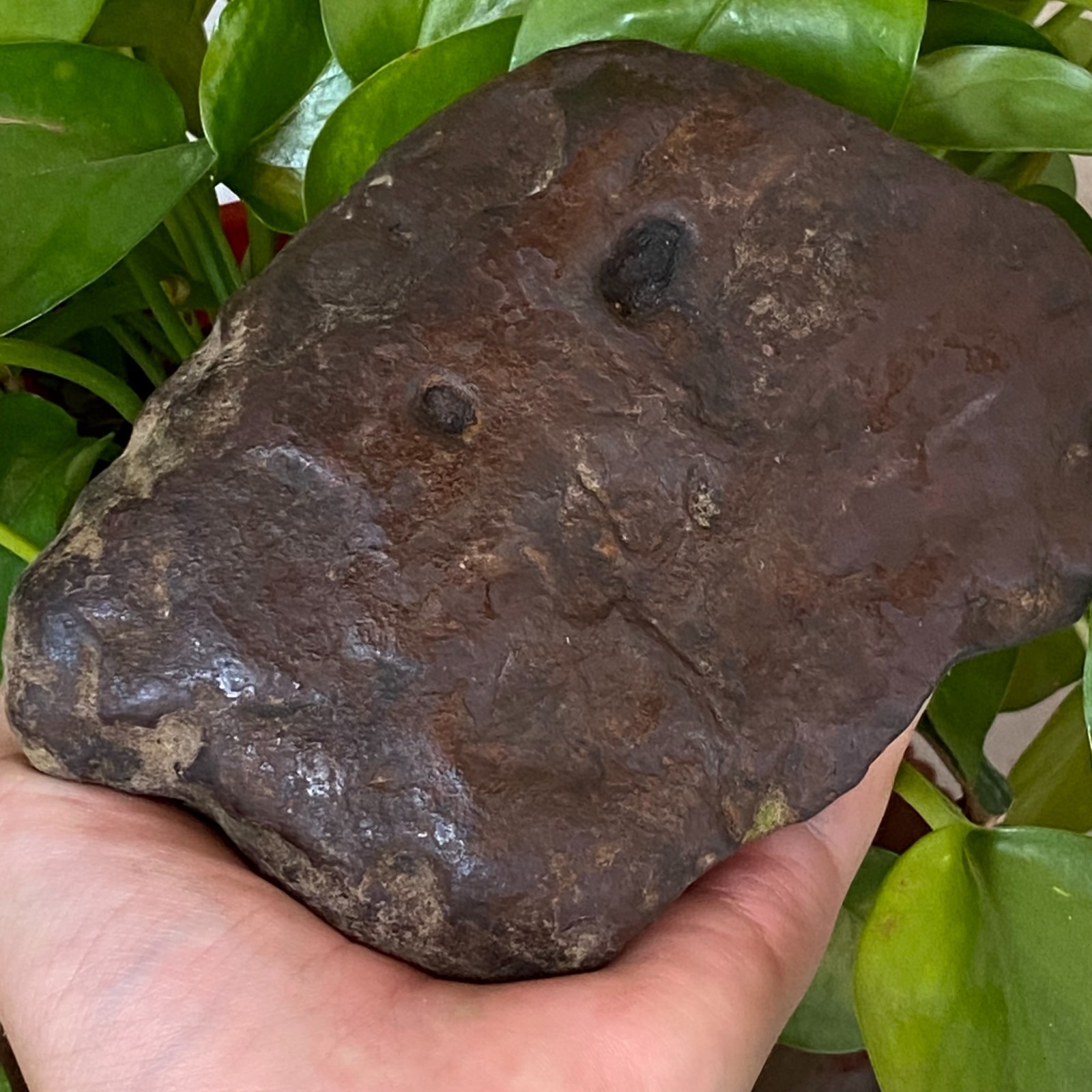 1357g Natural Iron Meteorite Specimen from China W380