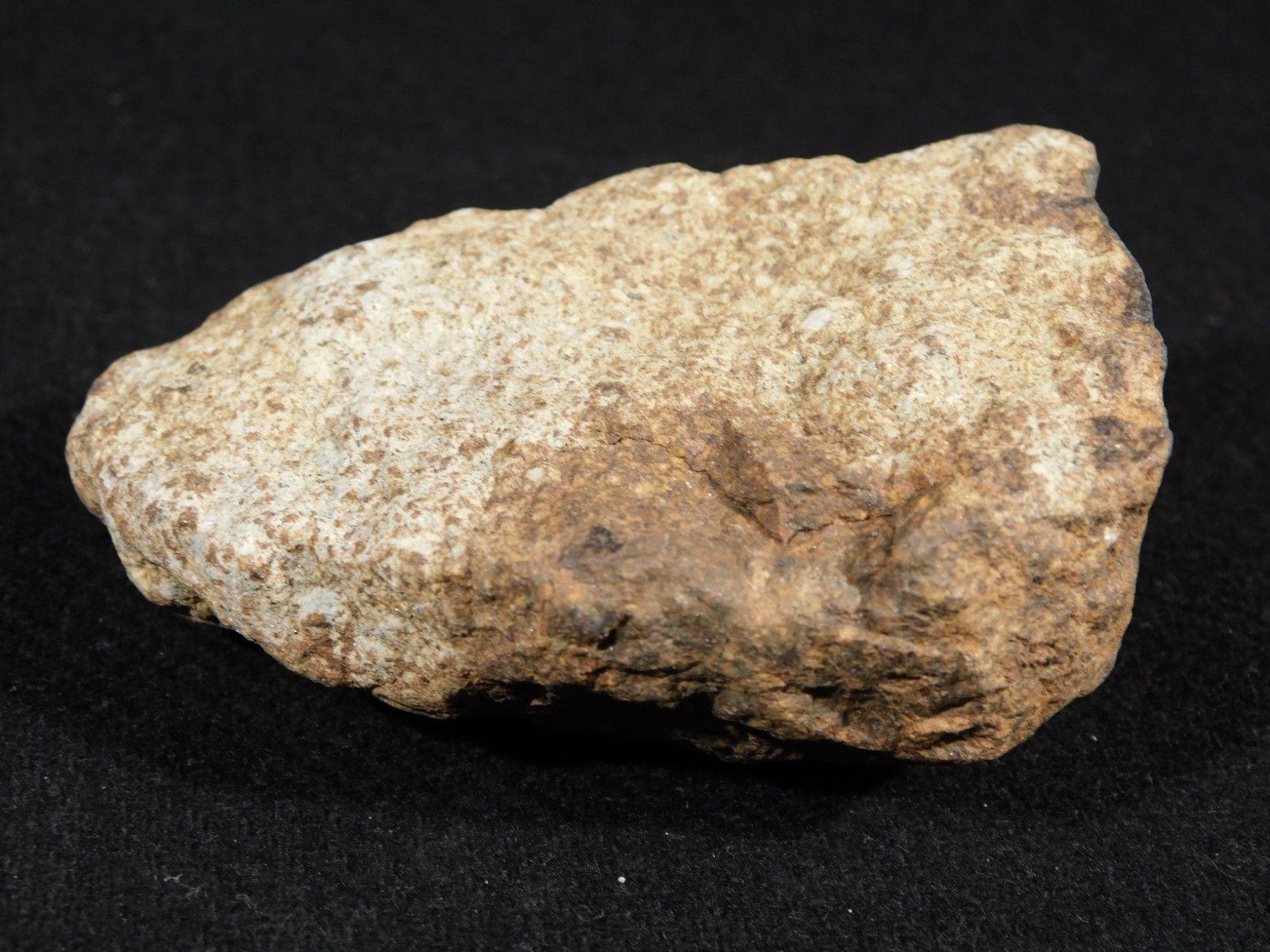 Larger Classified NWA 8245 METEORITE 100% Natural! Erfoud, Morocco 207gr