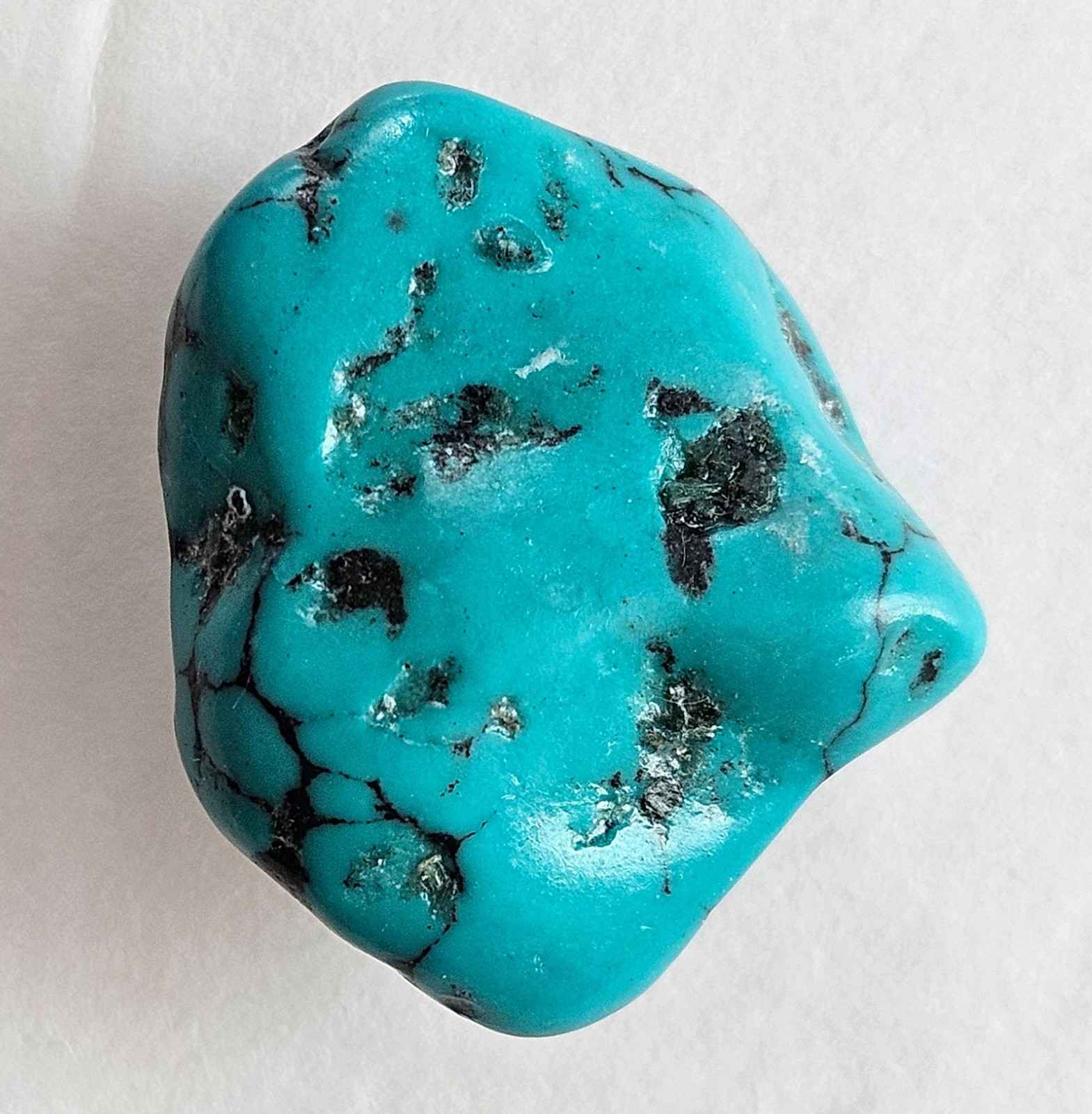 Beautiful Spider Web Turquoise