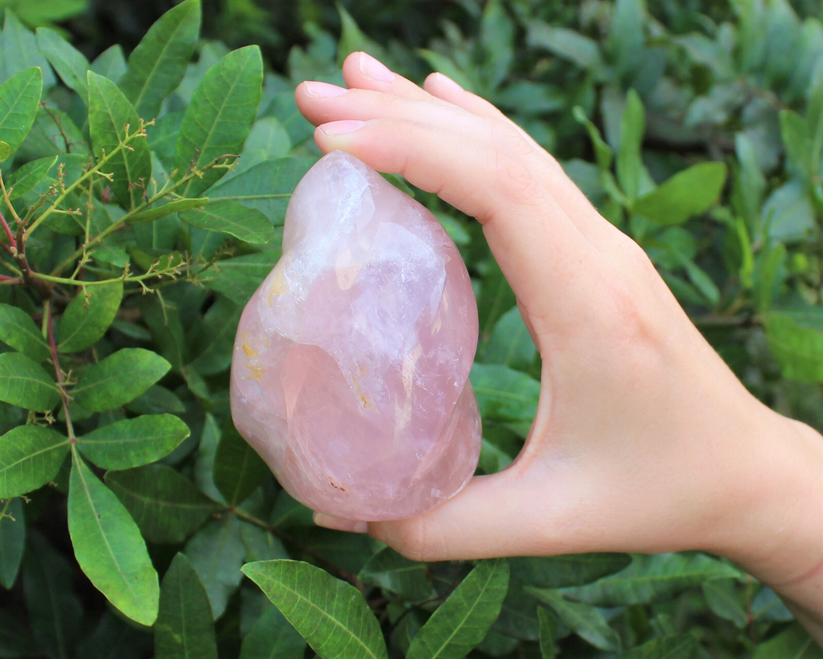 Polished Rose Quartz Crystal Flame – Natural Rose Quartz Flame Cut Base Specimen