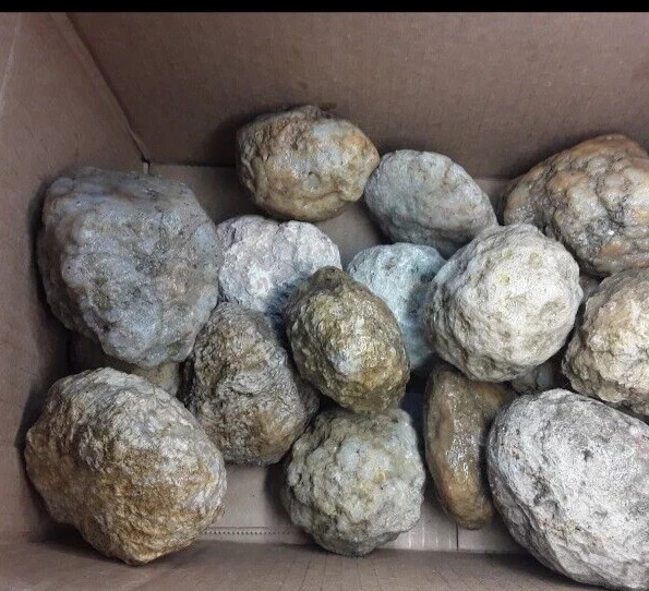 9 lb Kentucky Geode Lot of 14 – Rattler Included – Crack Your Own Crystals