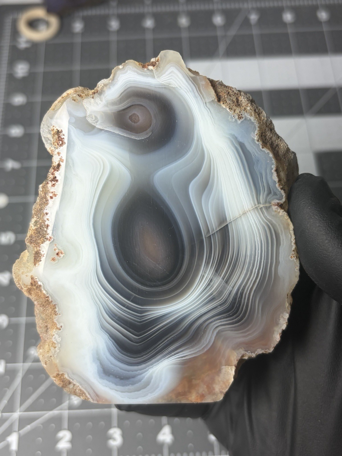 Beautiful Botswana Agate Free Form “penguin” Banding