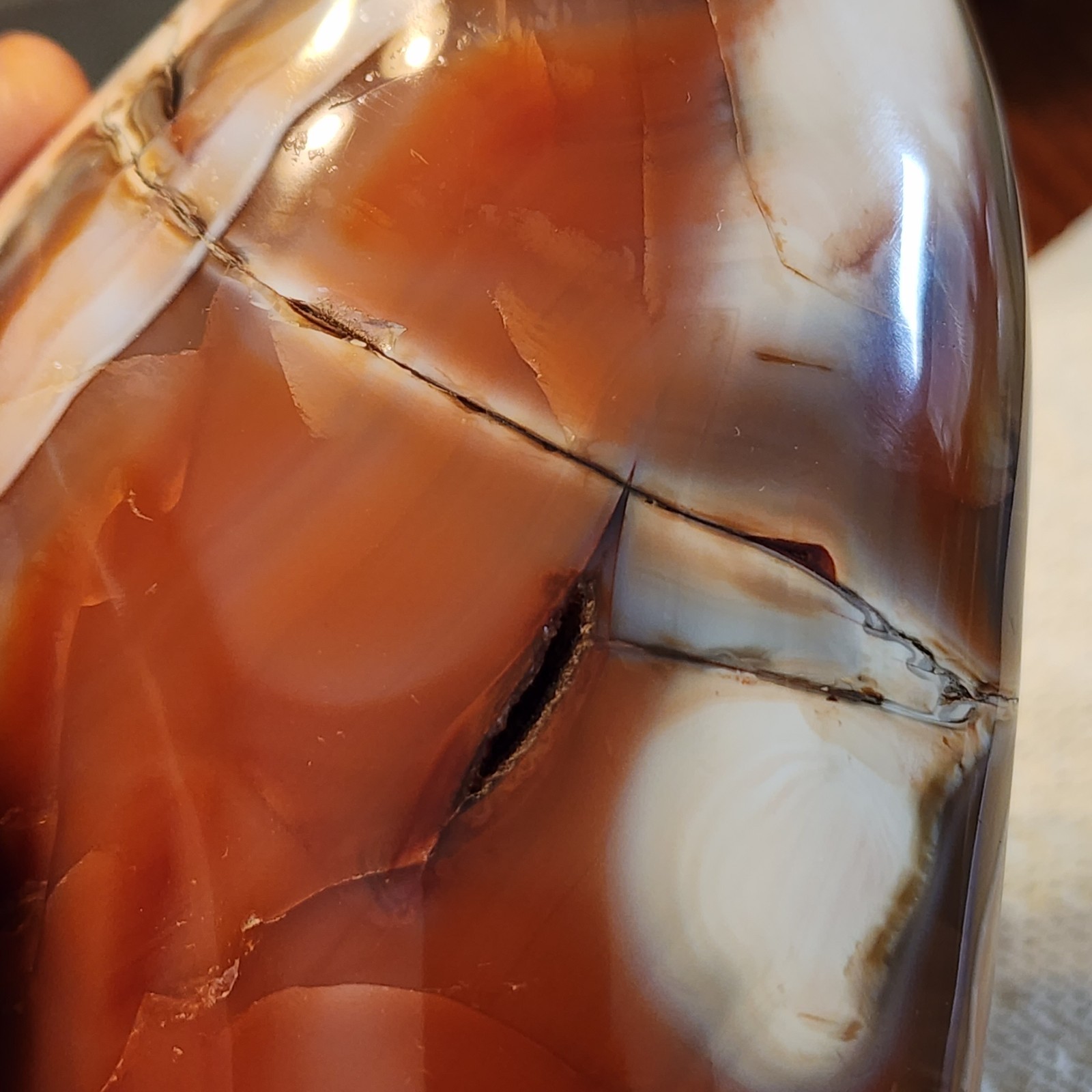 Natural Polished Large Decorative Red Carnelian Freeform 5.25″ Tall – USA