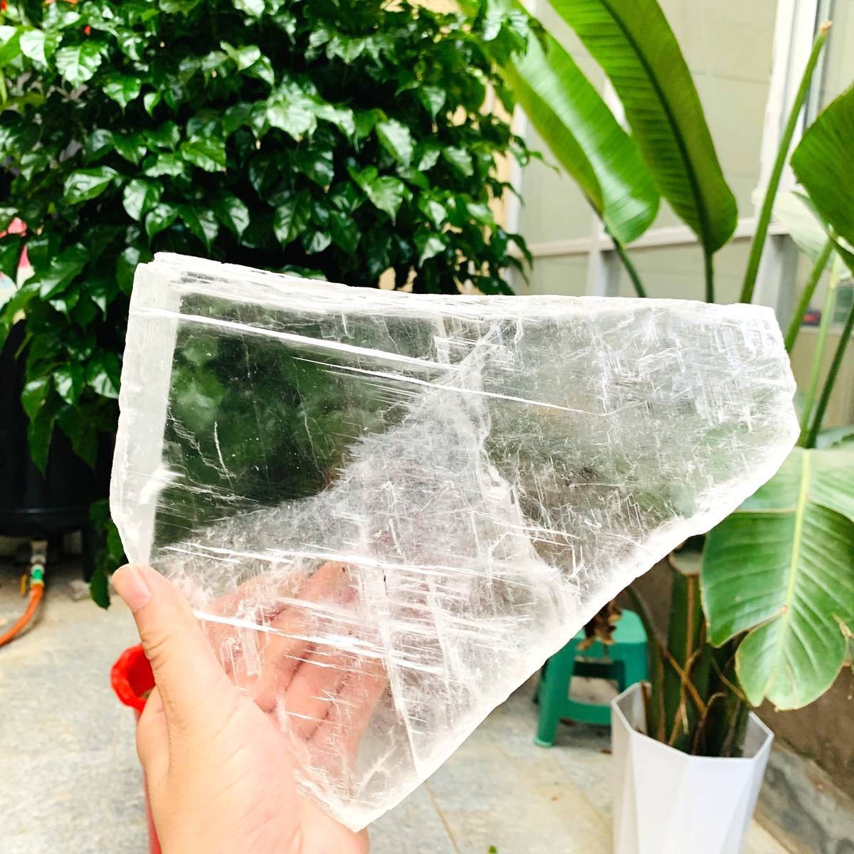 3.59LB Natural Clear Transparent Selenite Slab Gypsum Crystal Mineral Specimen
