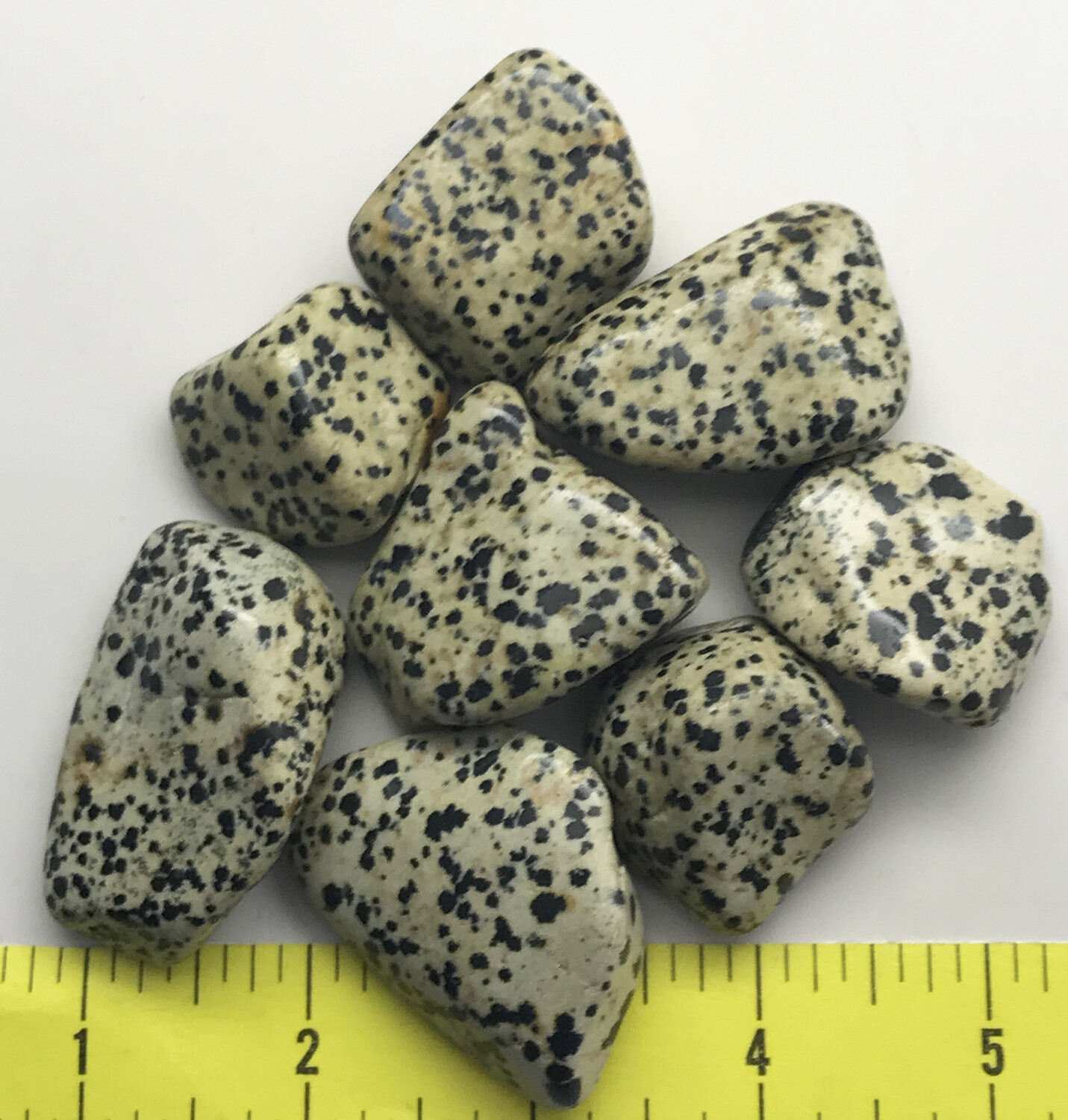DALMATIAN STONE size XX-Large (1-7/8 to 2-1/2″) polished stones – 1/2 lb.