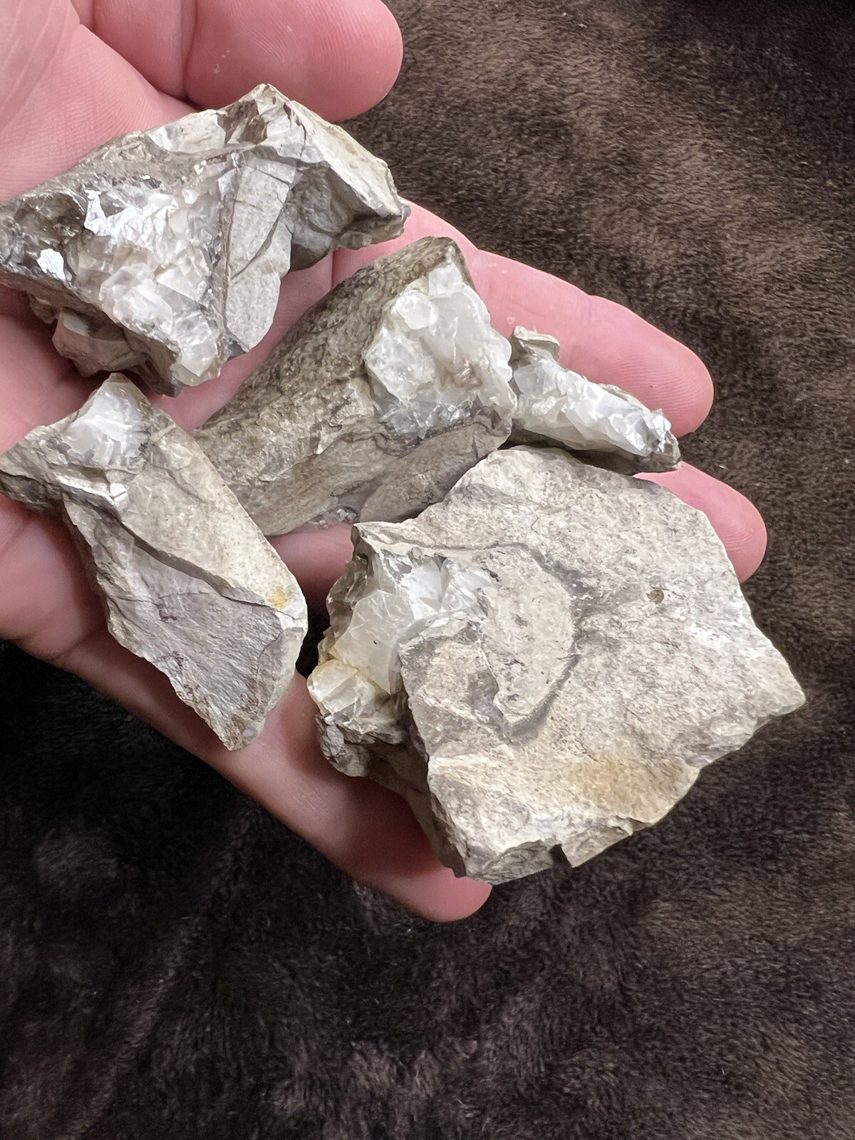 raw natural quartz crystal North East Mississippi Outcrop 5 Pieces