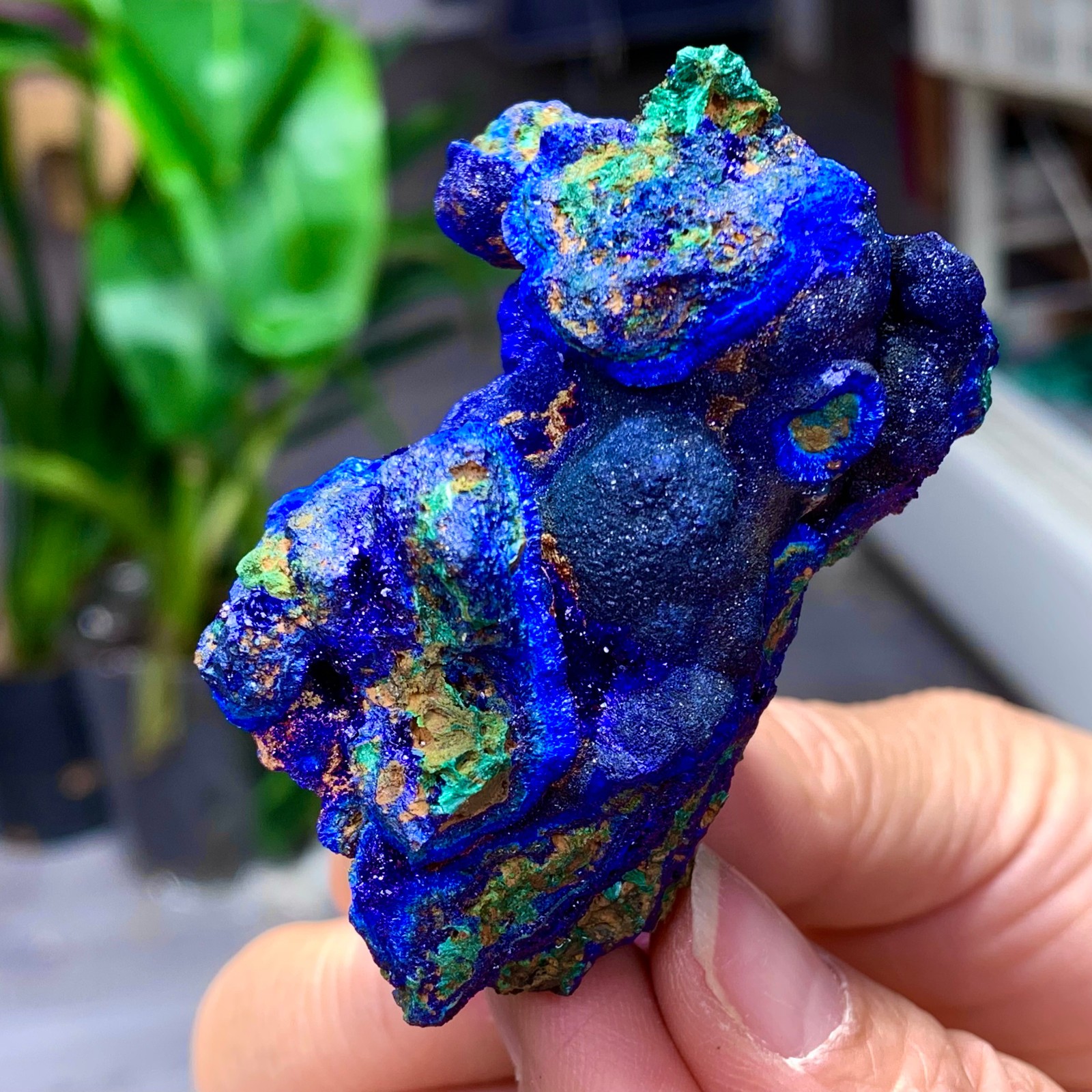 102G BEST Natural Azurite/Malachite crystal minerals specimens