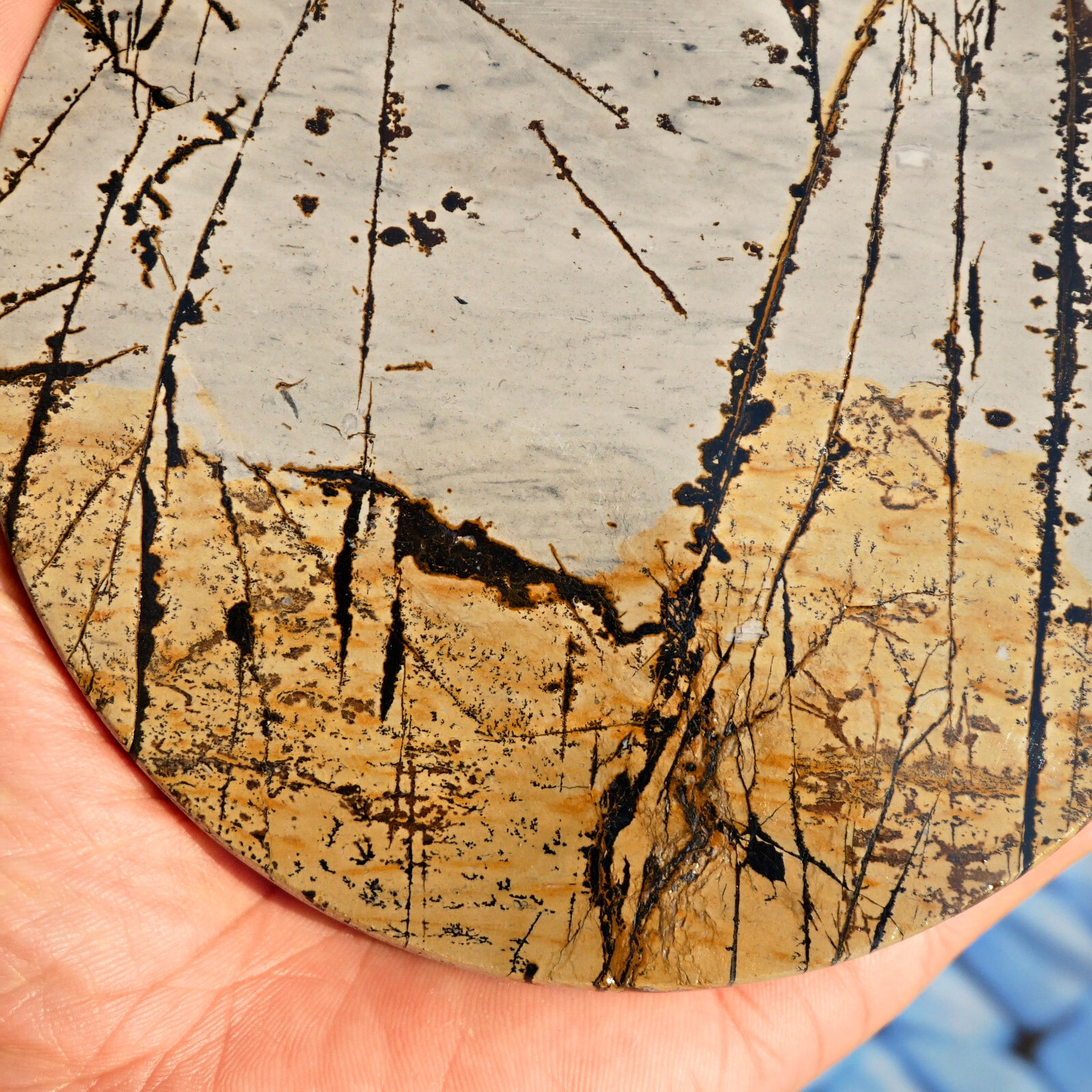 Picture Jasper Round Slice 5in Polished Landscape Stone Disc Display Shelf Decor