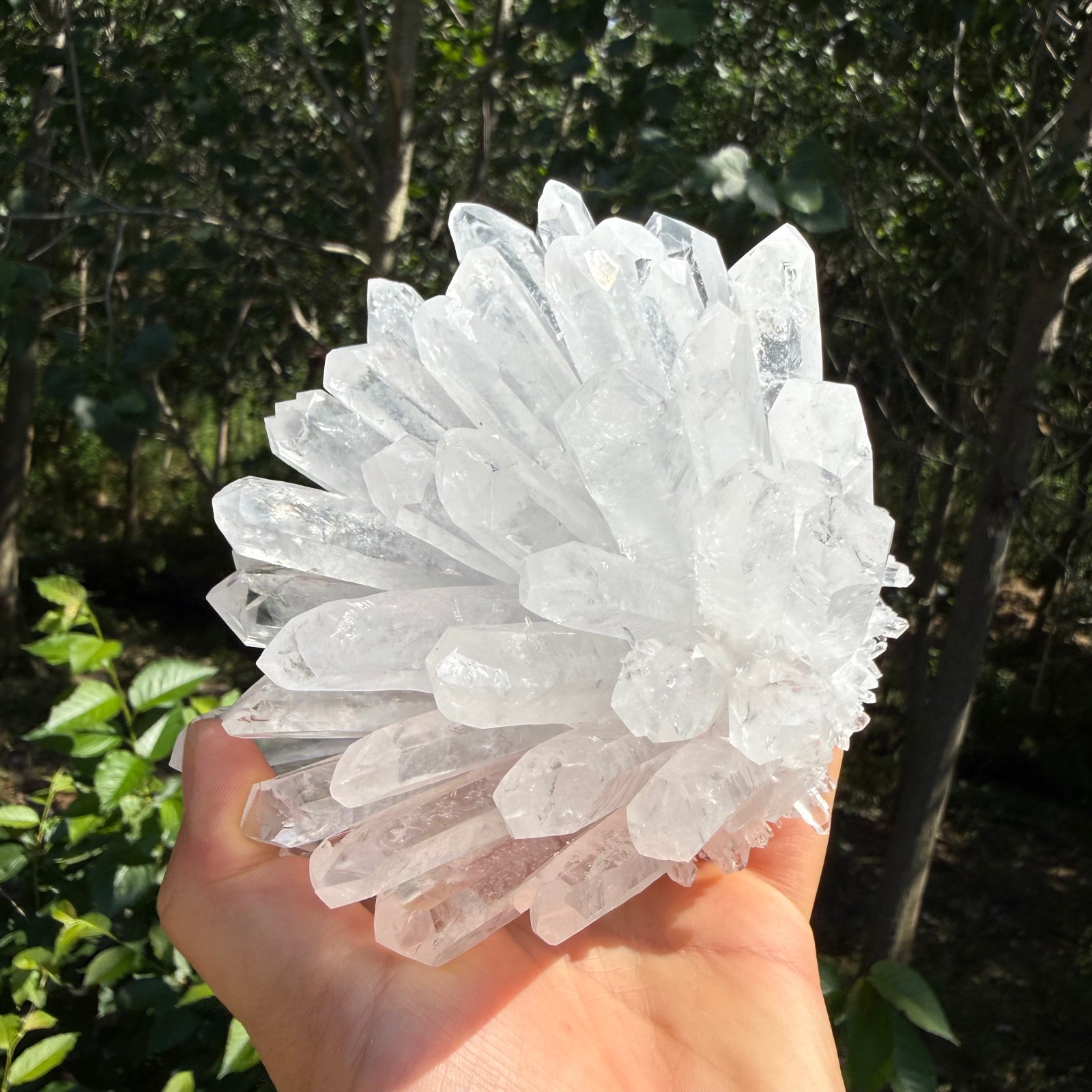 2.2LB Large Natural White Clear Quartz Cluster Crystal Mineral Healing 1pc