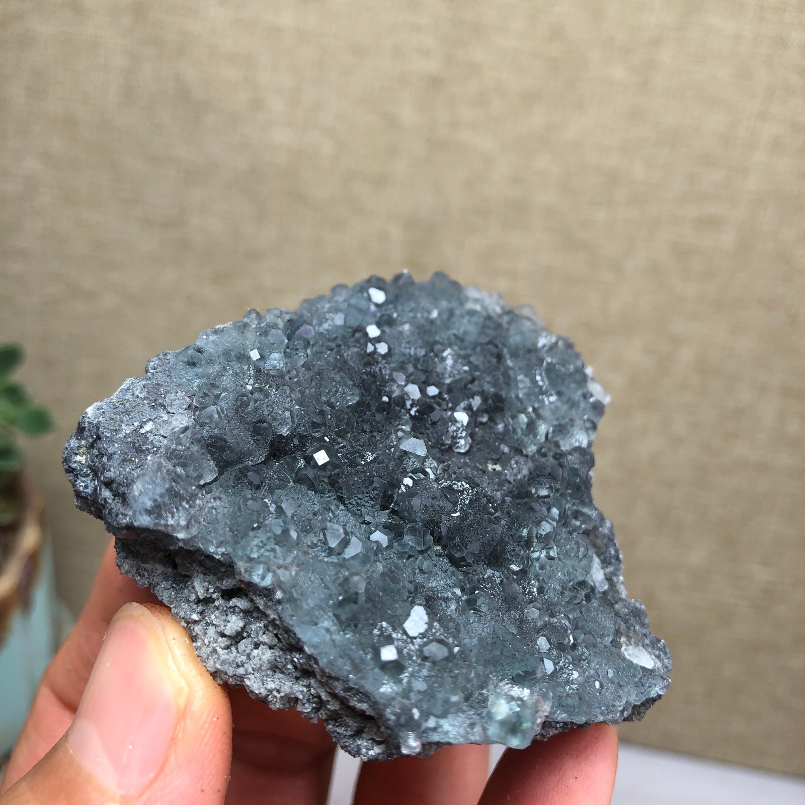 97g NATURAL Green Cubic FLUORITE Crystal Cluster Mineral Specimen A4736