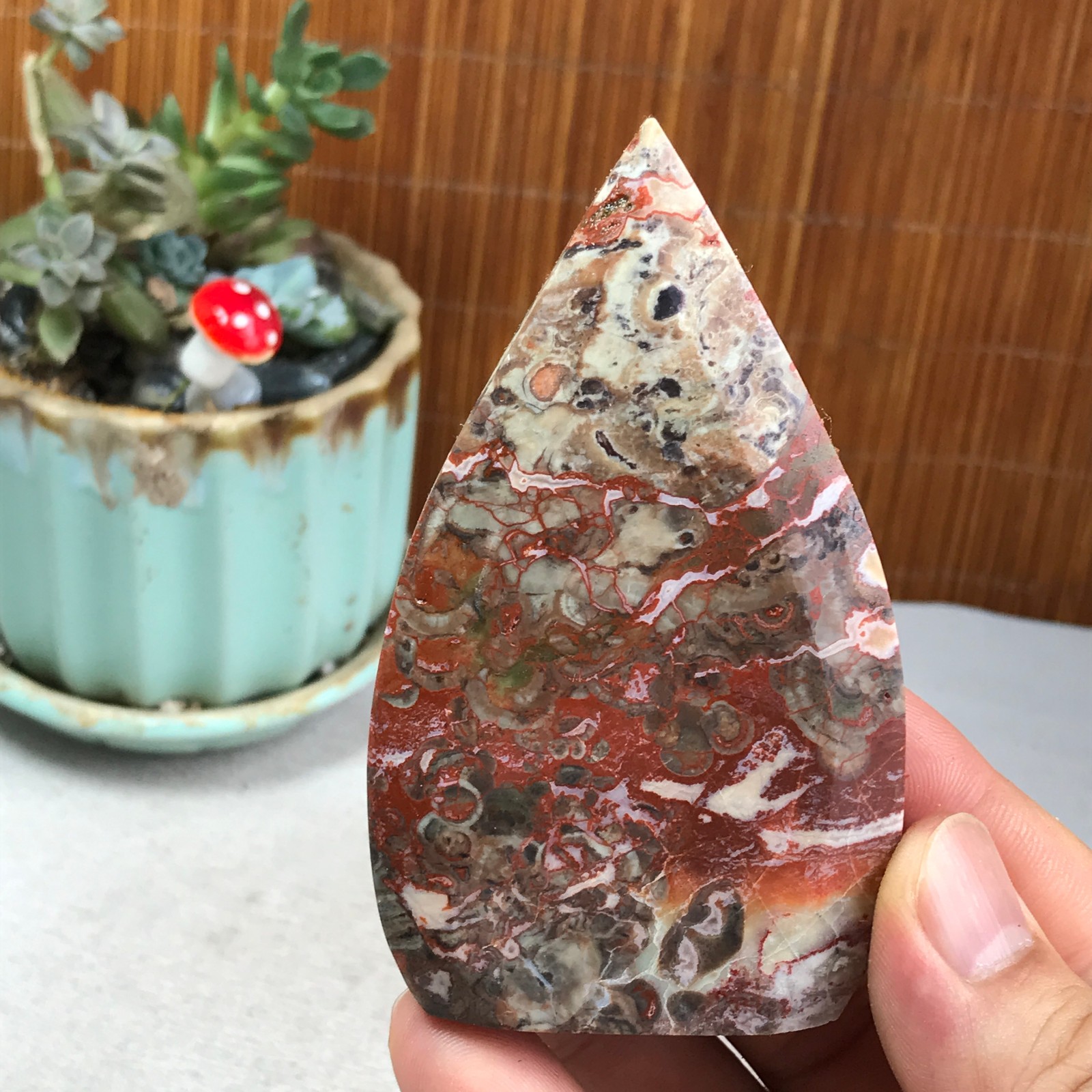 Natural money Mexico agate hand carve leaf Crystal Specimen free standing A6267