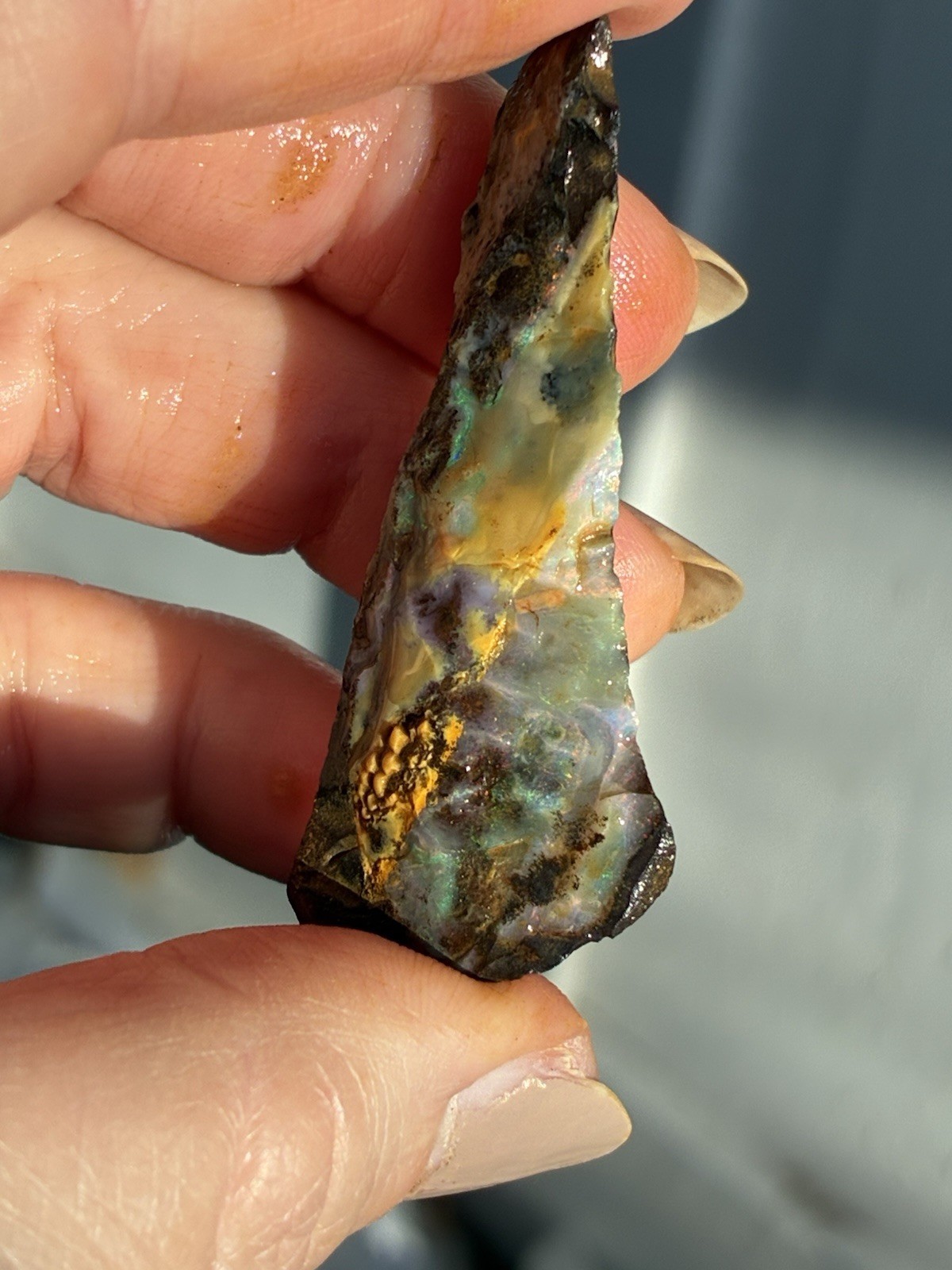 Beautiful 89ct Large Australian Boulder Opal Rough Loose Multicolor Specimen J