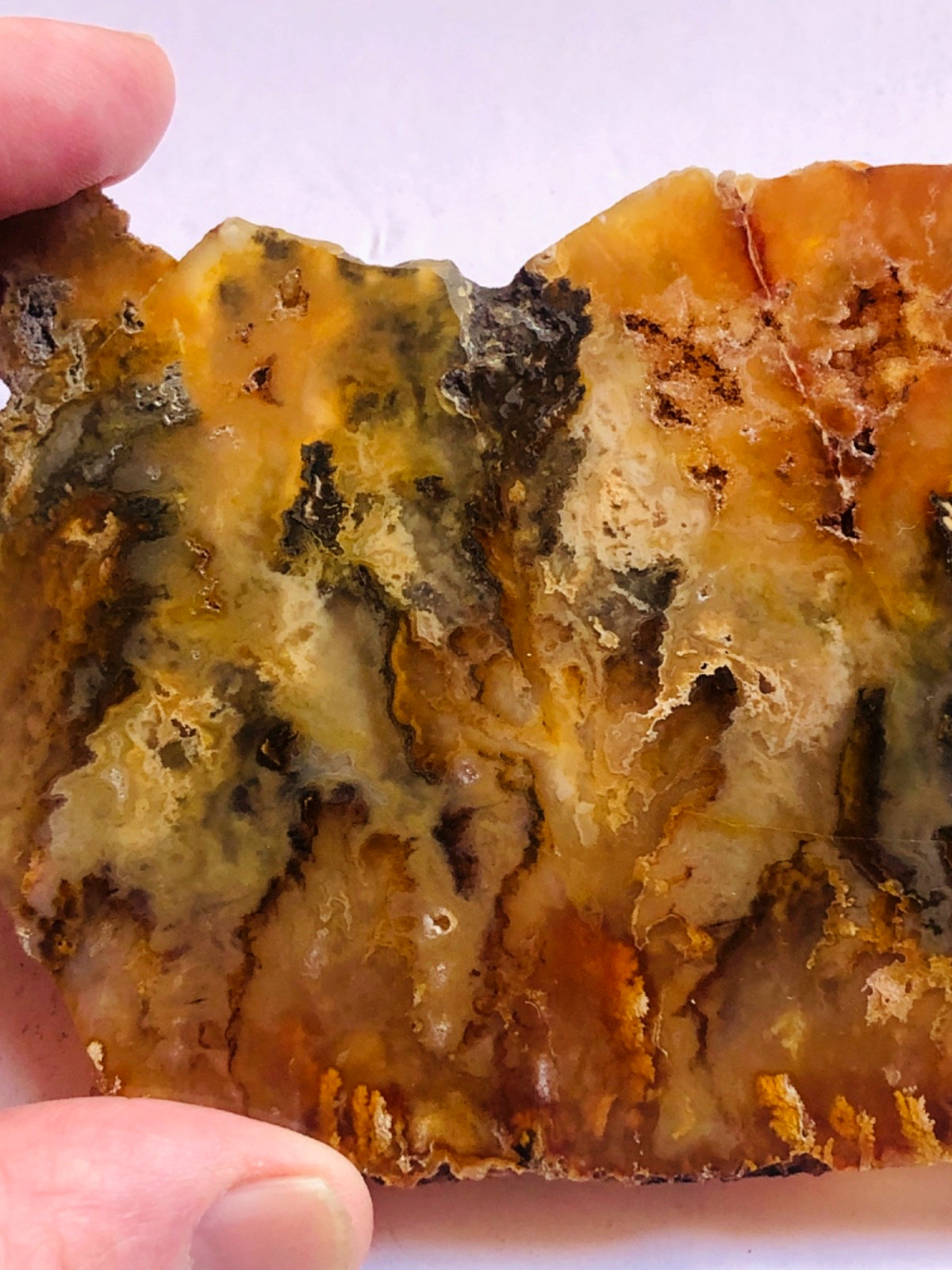Graveyard Plume Agate Museum Grade Collectors Slab Oregon 202 Grams