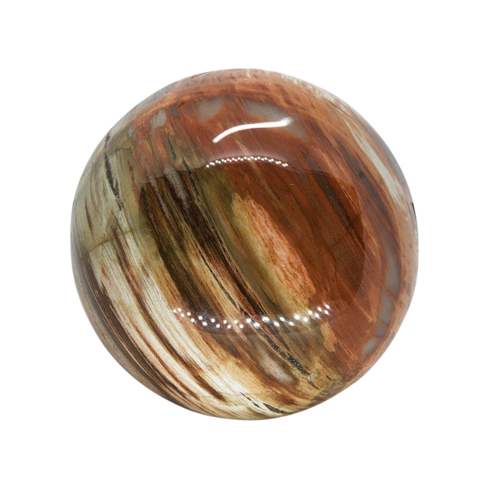 Petrified Wood, 3.75″, sphere, display specimen, #R-6529