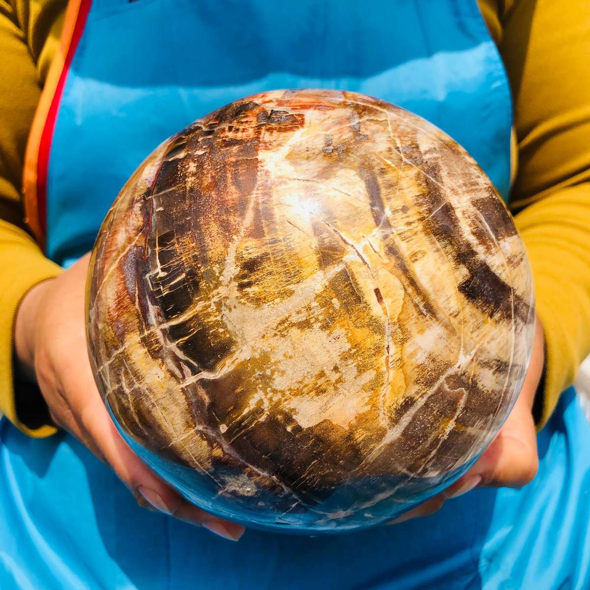 8.18LB Rare Natural Petrified Wood Ball Crystal Quartz Mineral Healing 4698