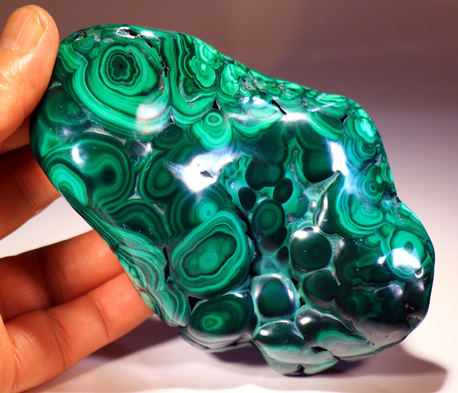 5.25 inch Top Quality Polished Bull’s Eye Malachite, Congo! M427