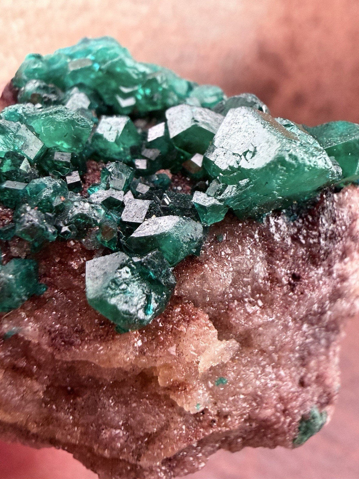 Emerald Green Dioptase Crystal Cluster from the Congo in Africa 22.6 g.