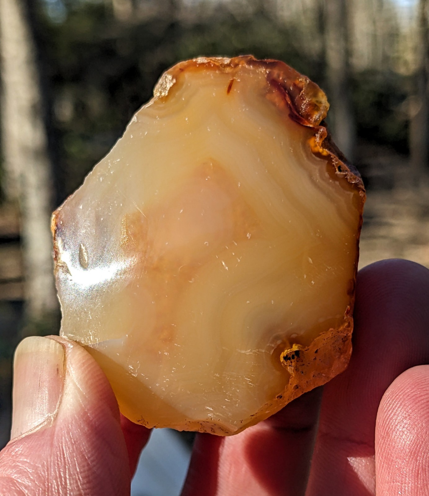68g Enhydro Carnelian Agate With Banding From Indonesia