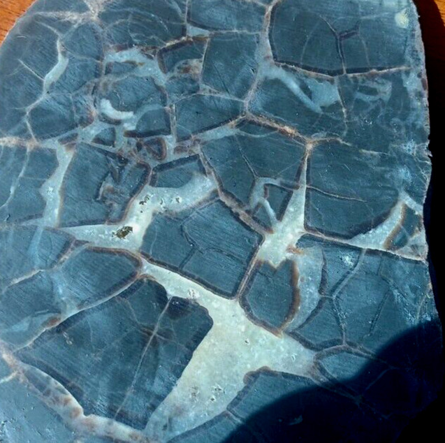 Septarian Nodule UV Reactive End Cut Display Crystal Specimen Glows Purple