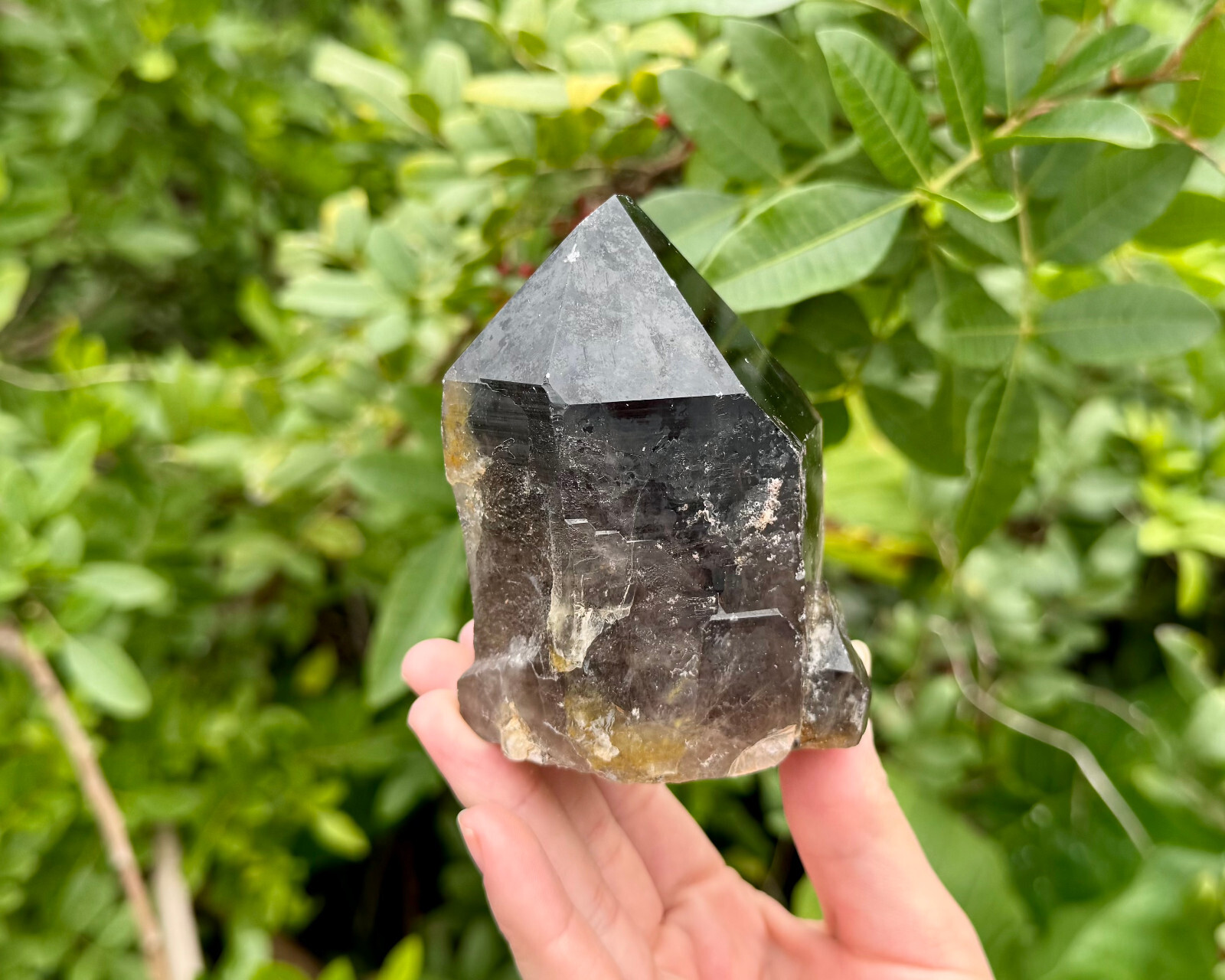 LARGE Smokey Quartz Crystal Point with Cut Base – Smoky Quartz Crystal Points