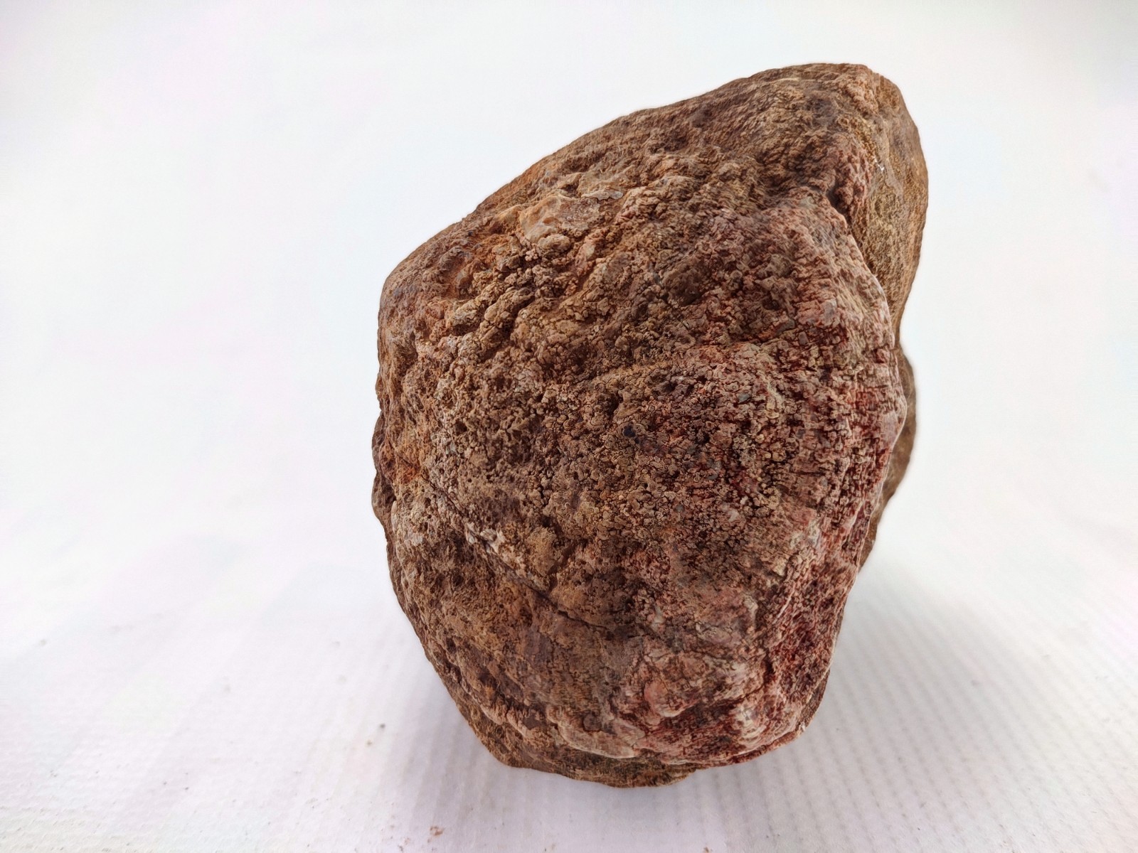 5.75″ Unopened Geode Localized Red Exterior KY Quartz Crystal 5 LB Non Rattler