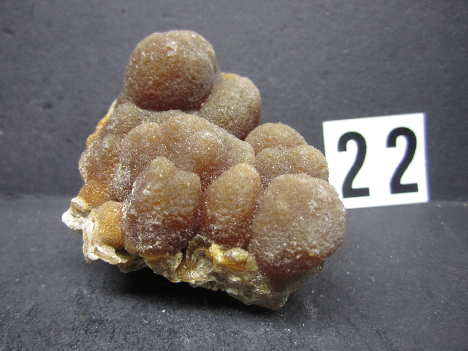Aragonite Botryoidal Crystal Cluster, Pachacayo Mine, Peru #22