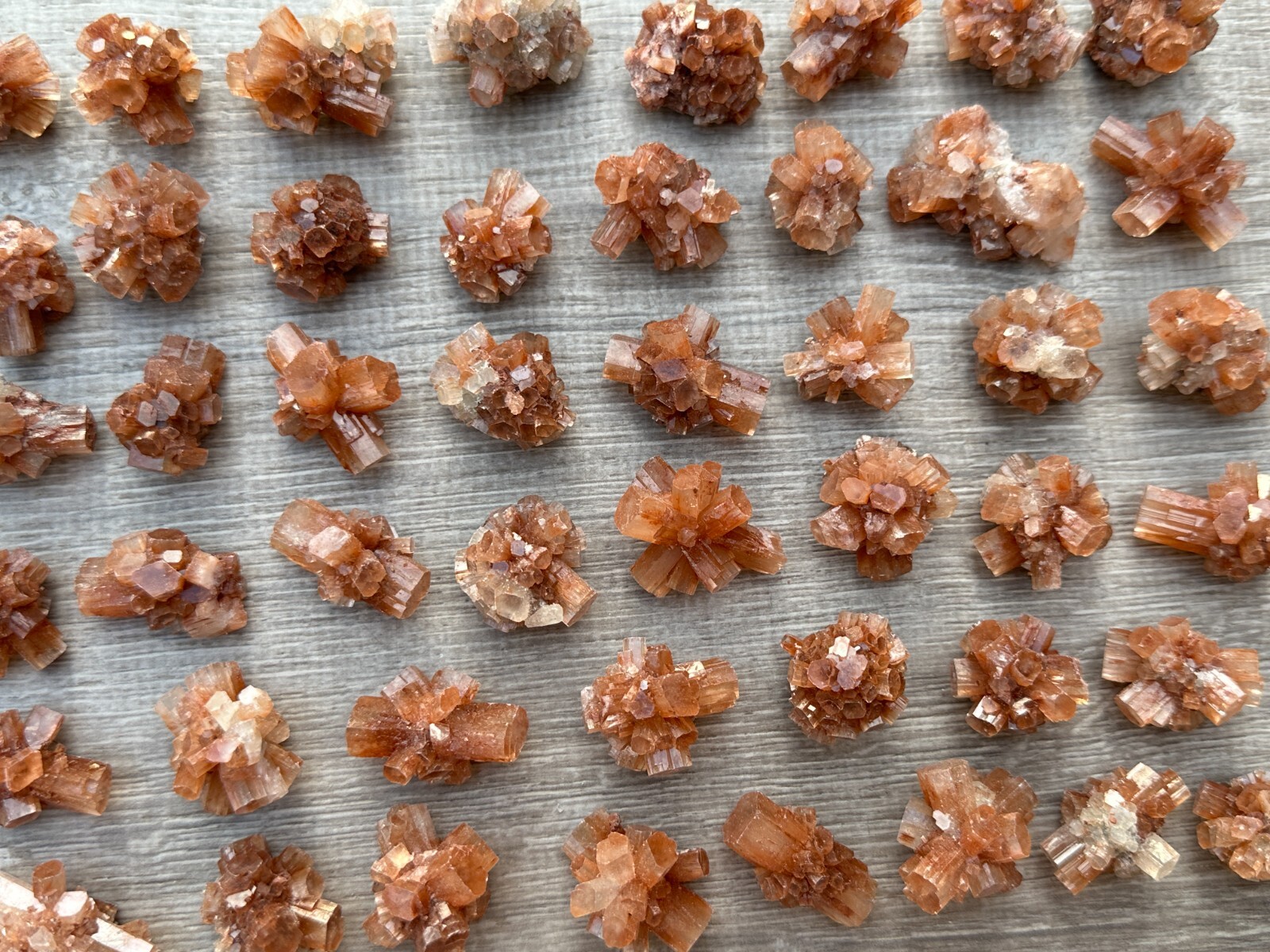 7-10 pcs Box Aragonite Clusters Collection,Grade A++ Mini Aragonite Star Crystal
