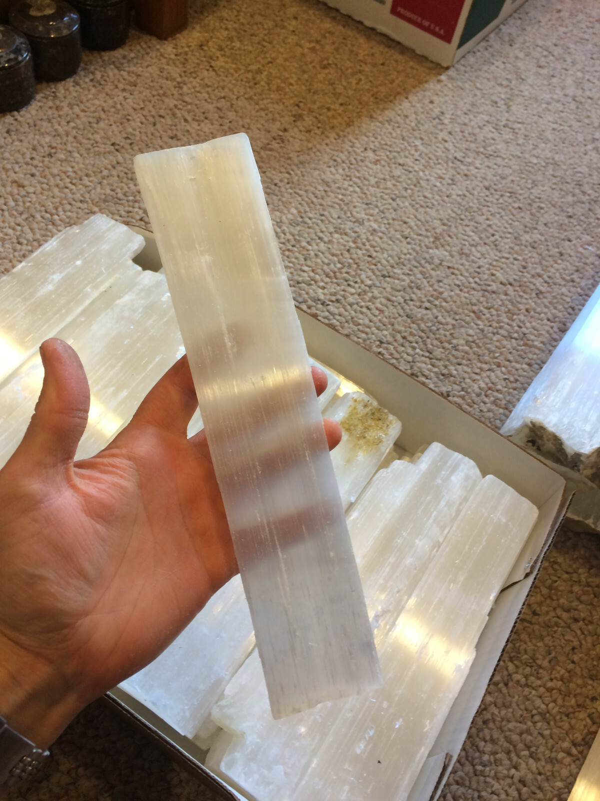 10 ” Selenite Logs XL Natural Crystal Sticks Rough Wands BULK 5 lb LOT Wholesale