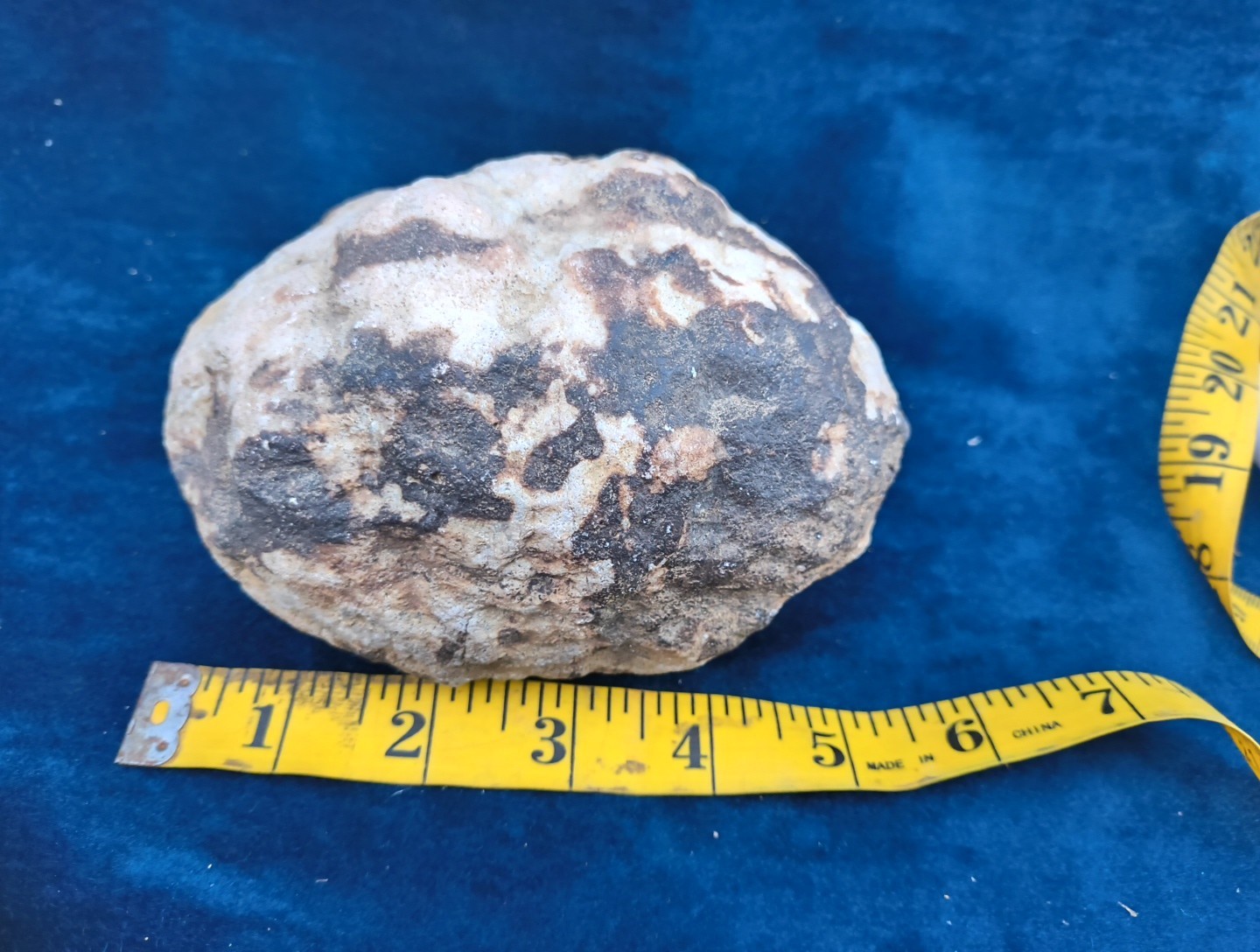 Large Kentucky Geode 3–5 inch – Crack Open Giant Quartz Crystal Rock – Authentic