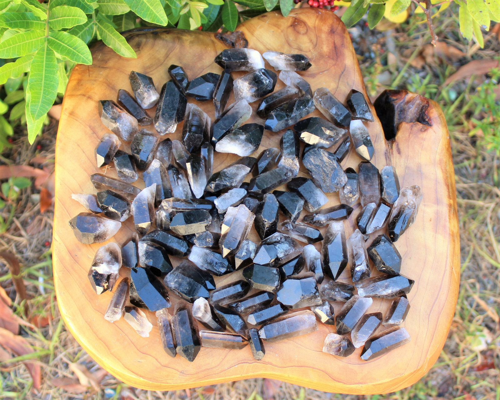 1/2 lb (8 oz) Smoky Quartz Crystal Points, Box Lot (0.75″ – 2″, Smokey Quartz)