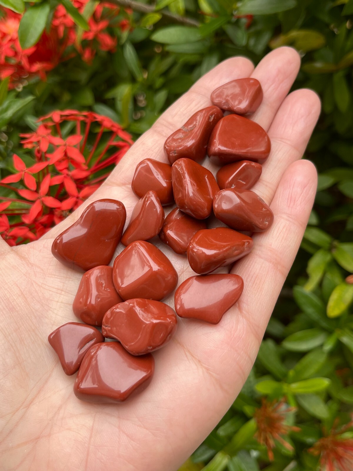 Red Jasper Tumbled Stones, 0.5″-1″ S to M Size Tumbled Red Jasper, Pick A Weight